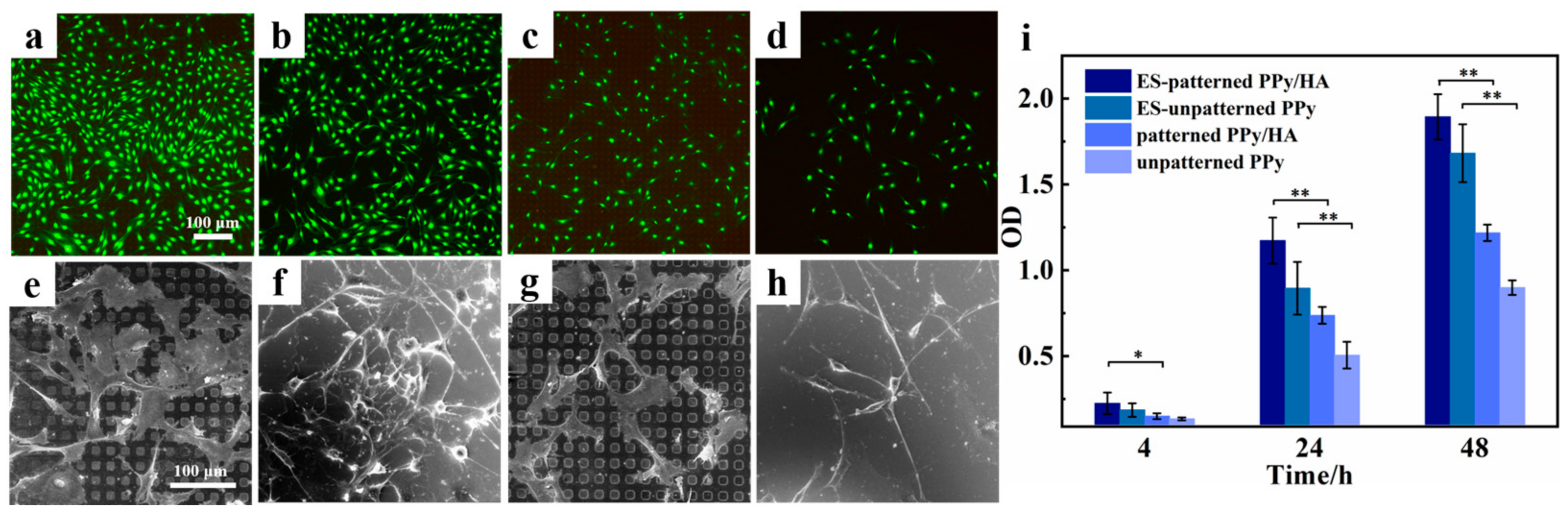 Coatings 12 00849 g005