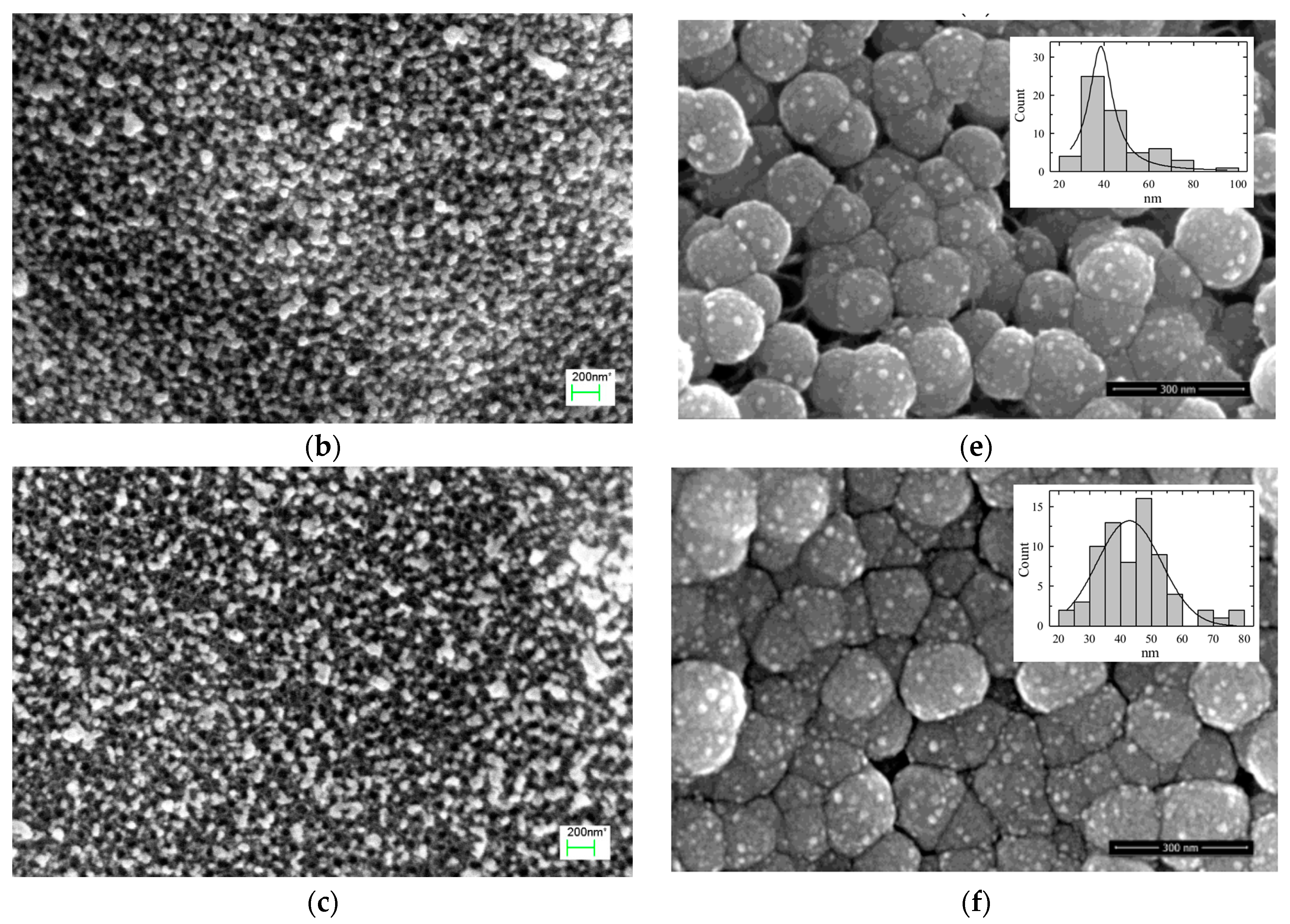Coatings 12 00850 g002b