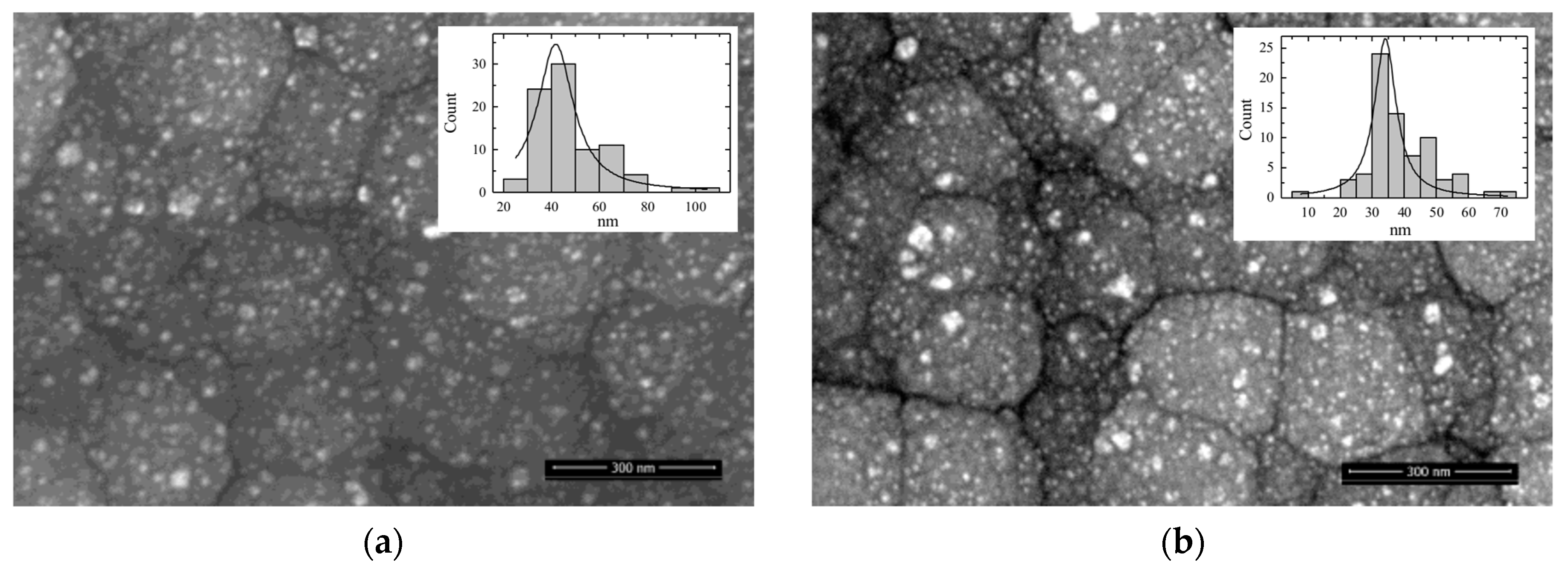 Coatings 12 00850 g003a