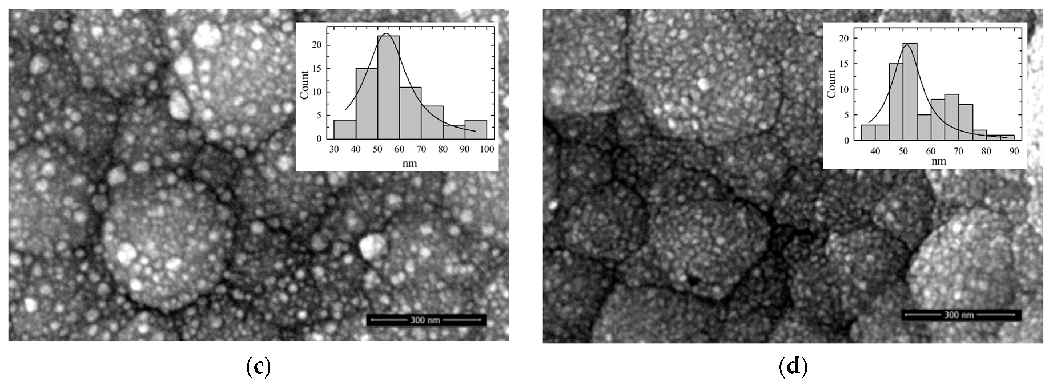 Coatings 12 00850 g003b