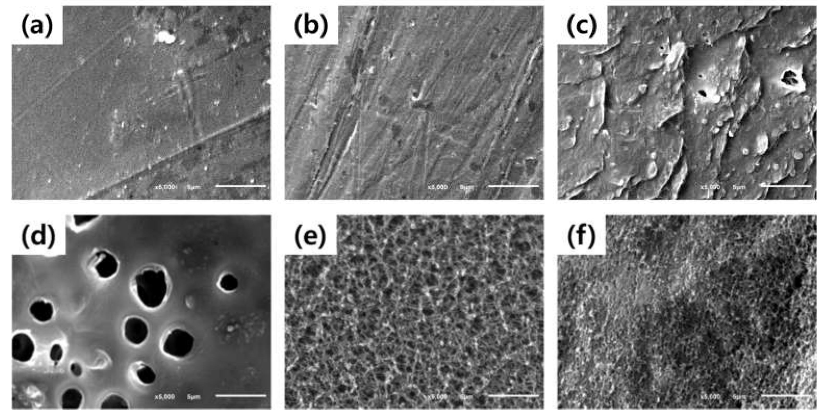 Coatings 12 00854 g002