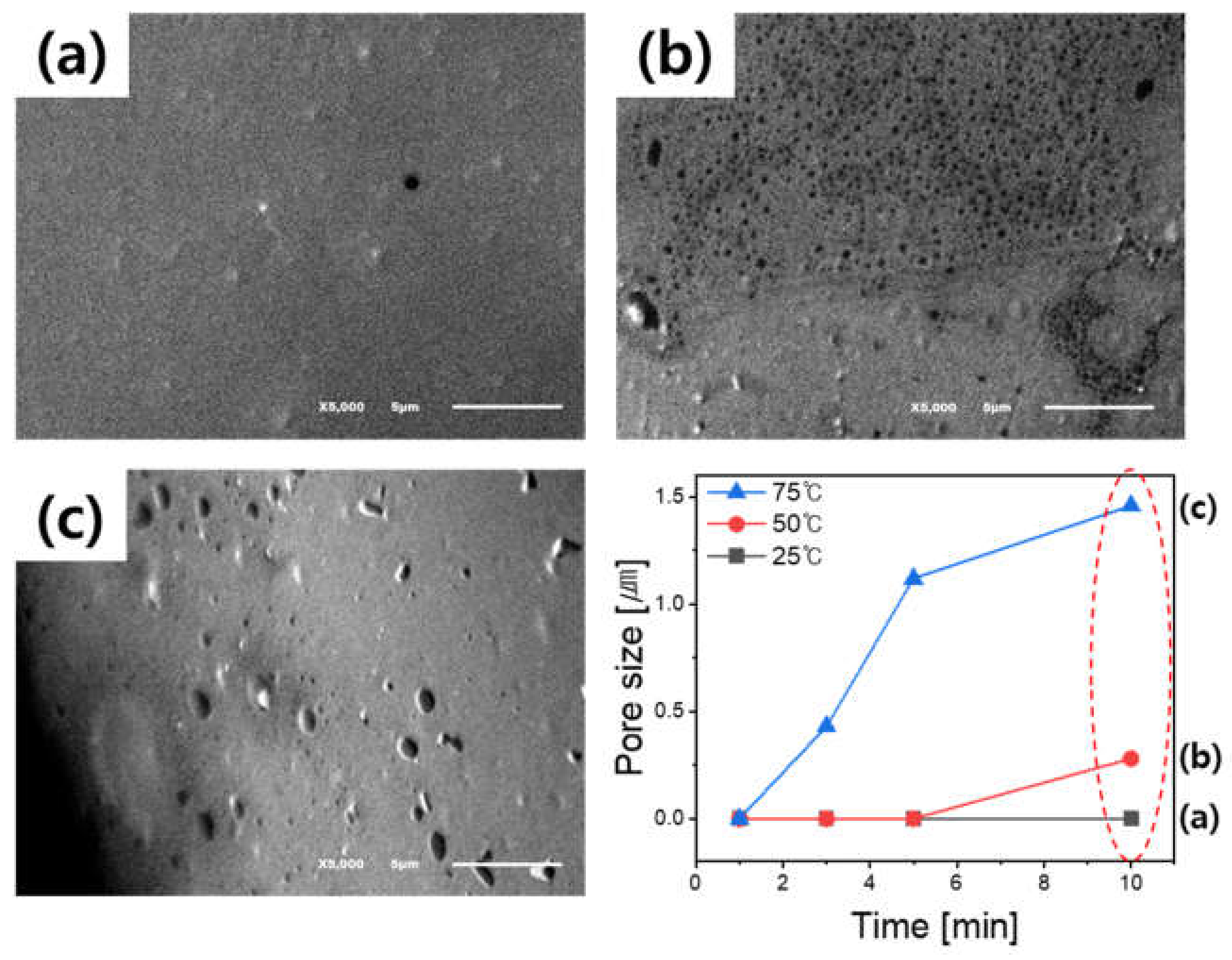 Coatings 12 00854 g003
