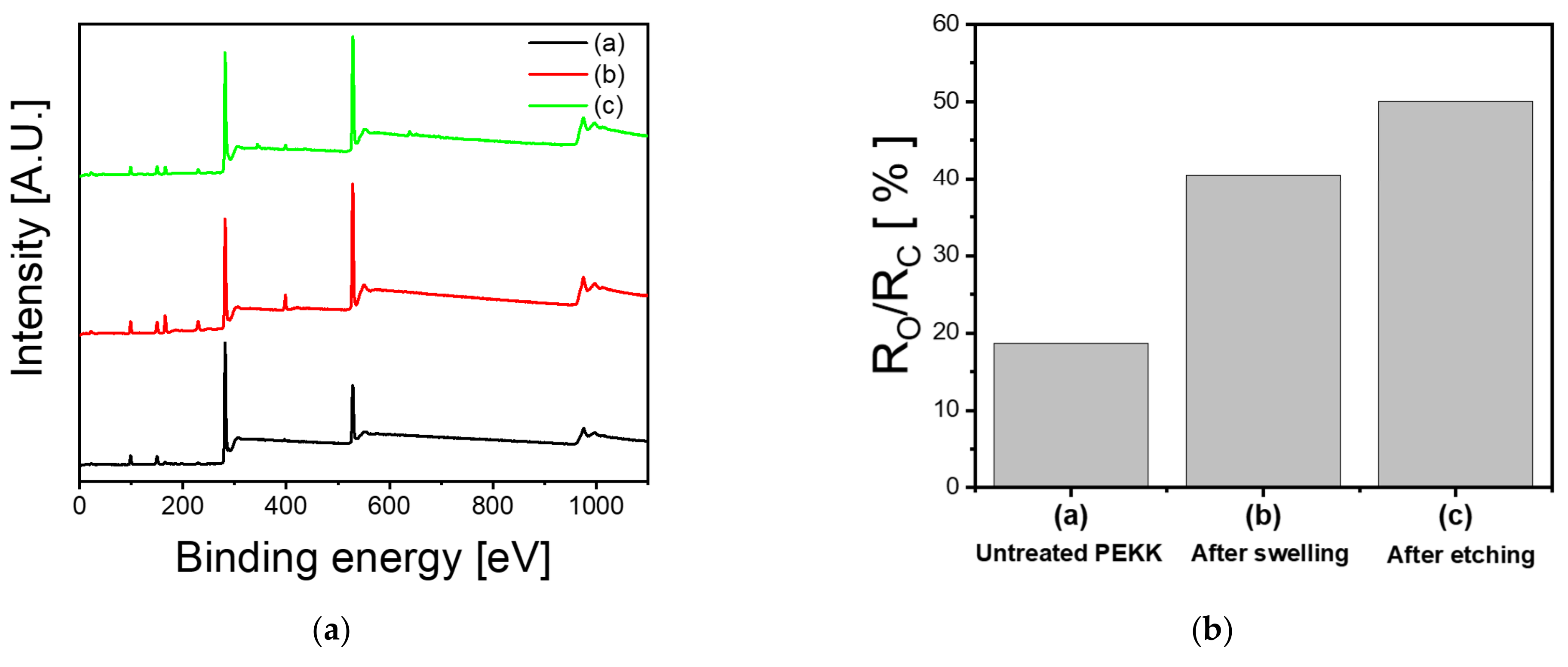 Coatings 12 00854 g005