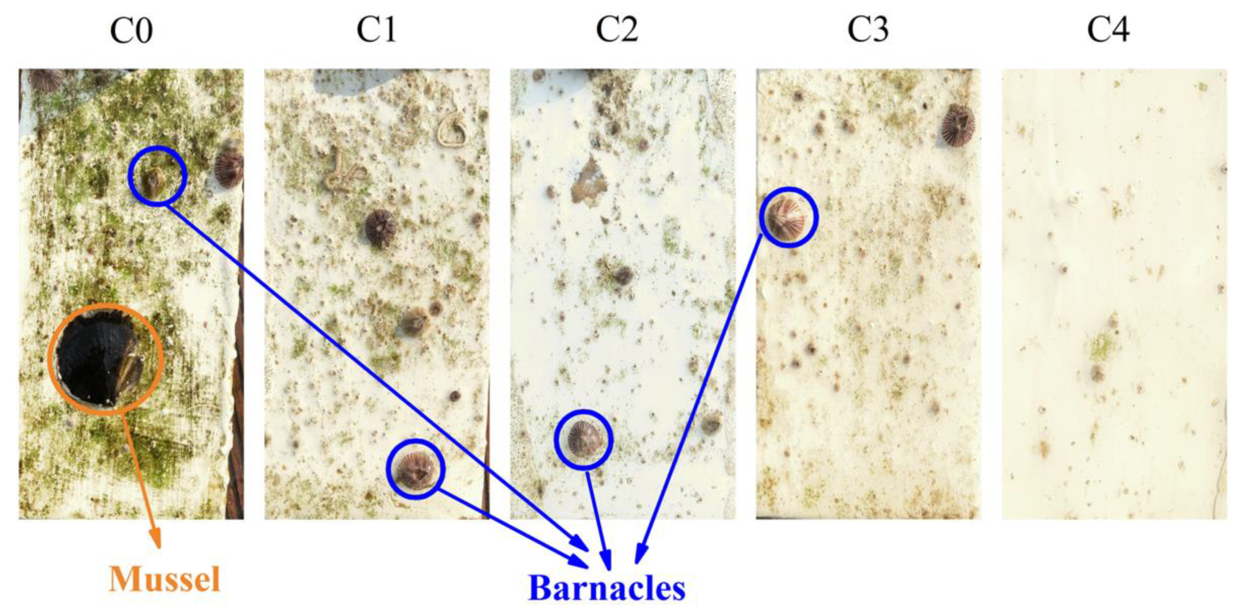 Coatings 12 00855 g008 Coatings 12 00855 g008