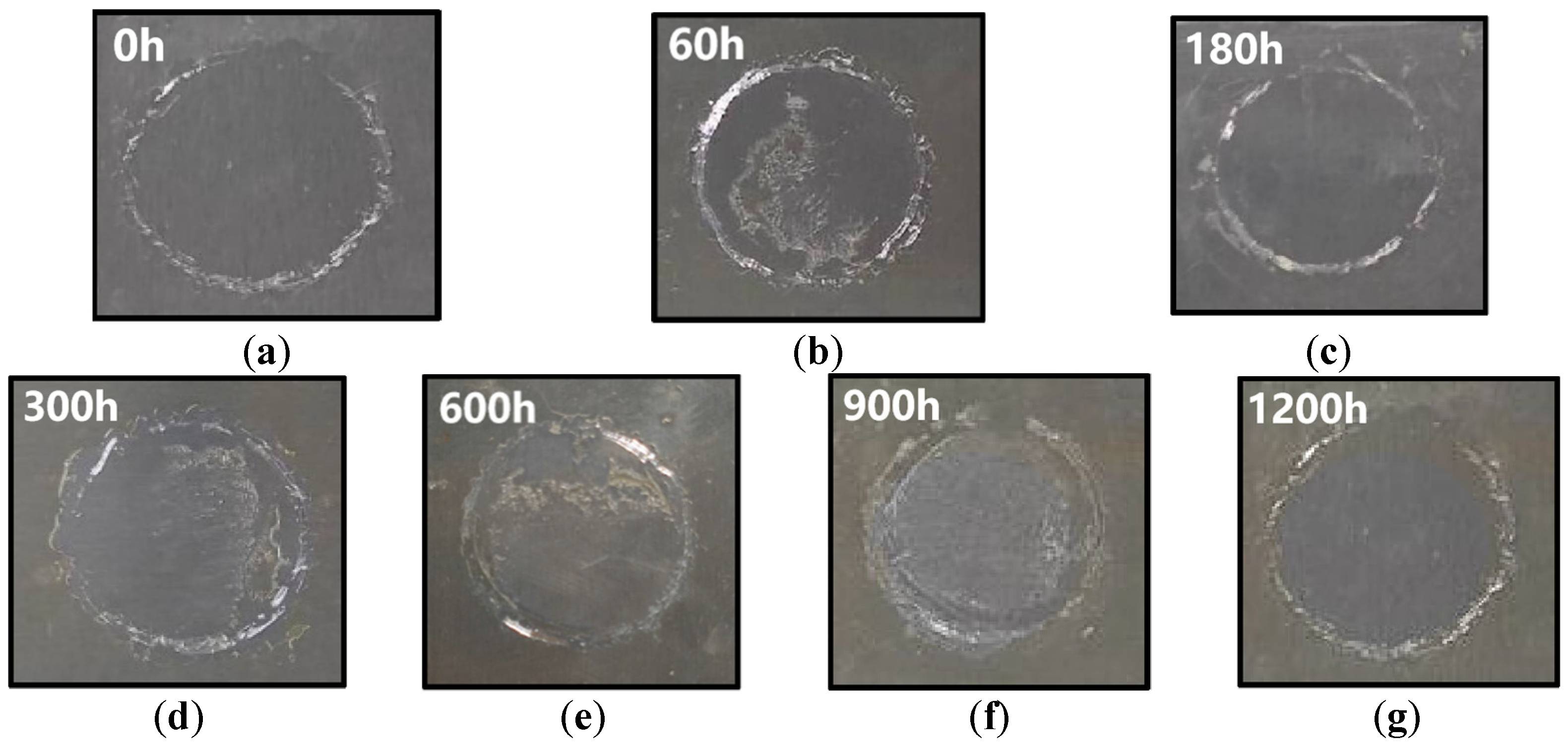 Coatings 12 00858 g005