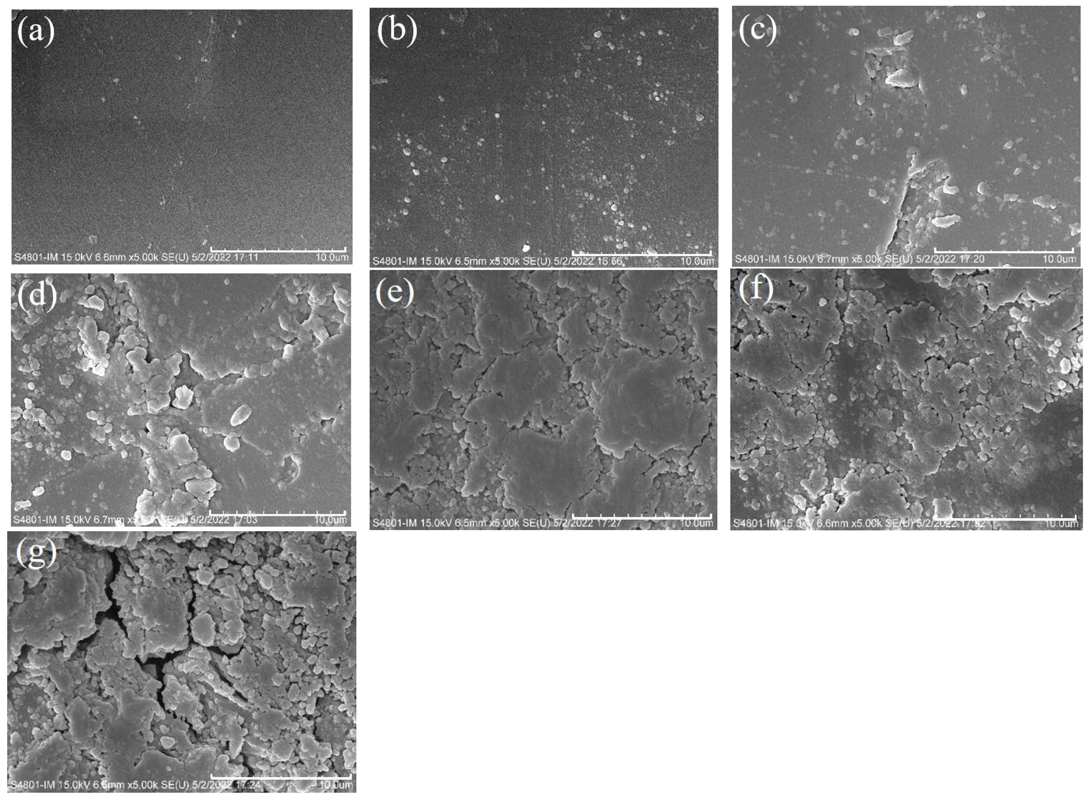 Coatings 12 00858 g007