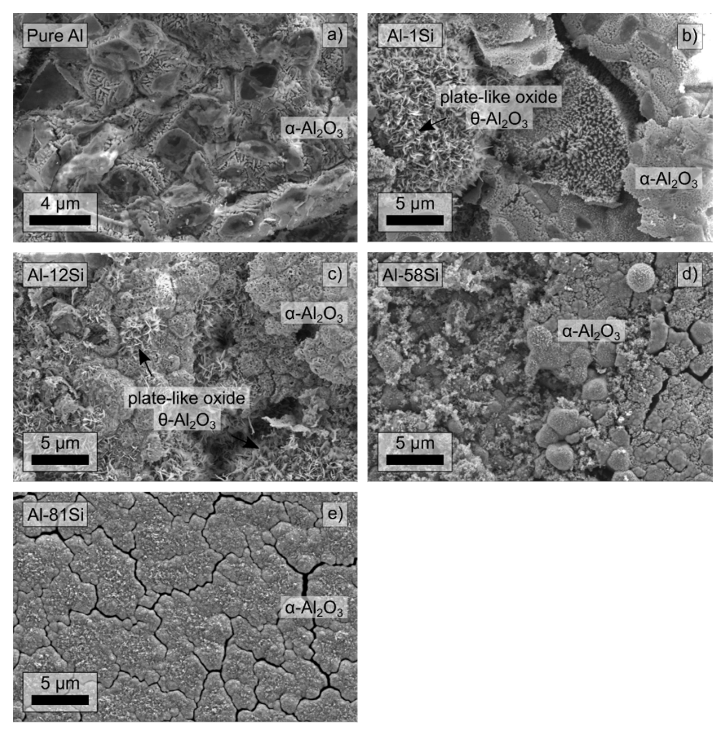 Coatings 12 00859 g006