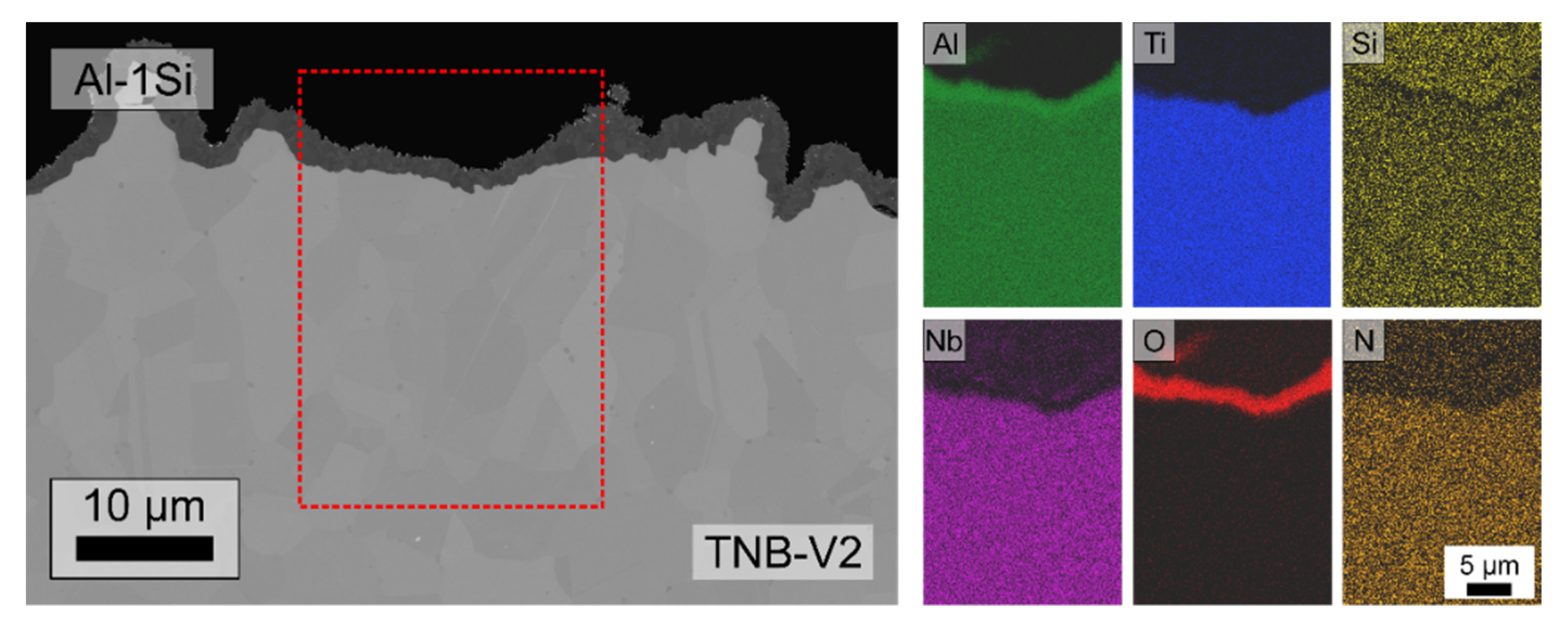 Coatings 12 00859 g012