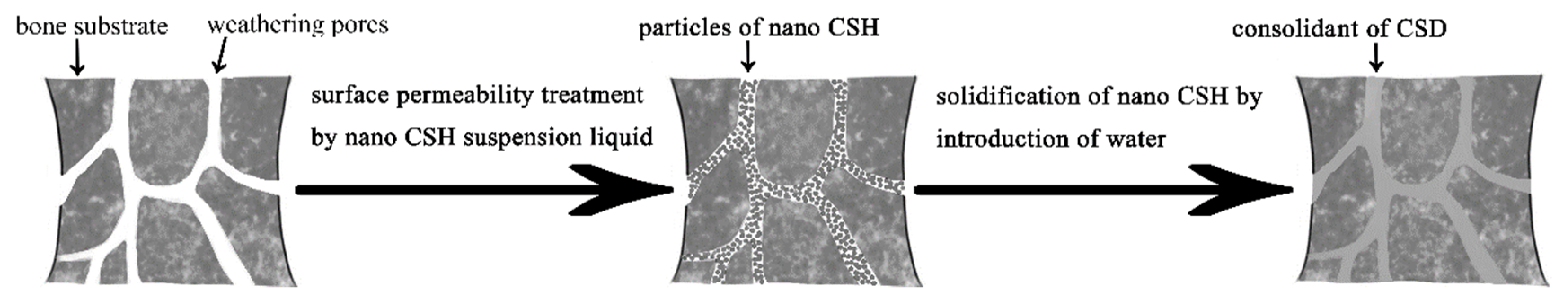 Coatings 12 00860 g001