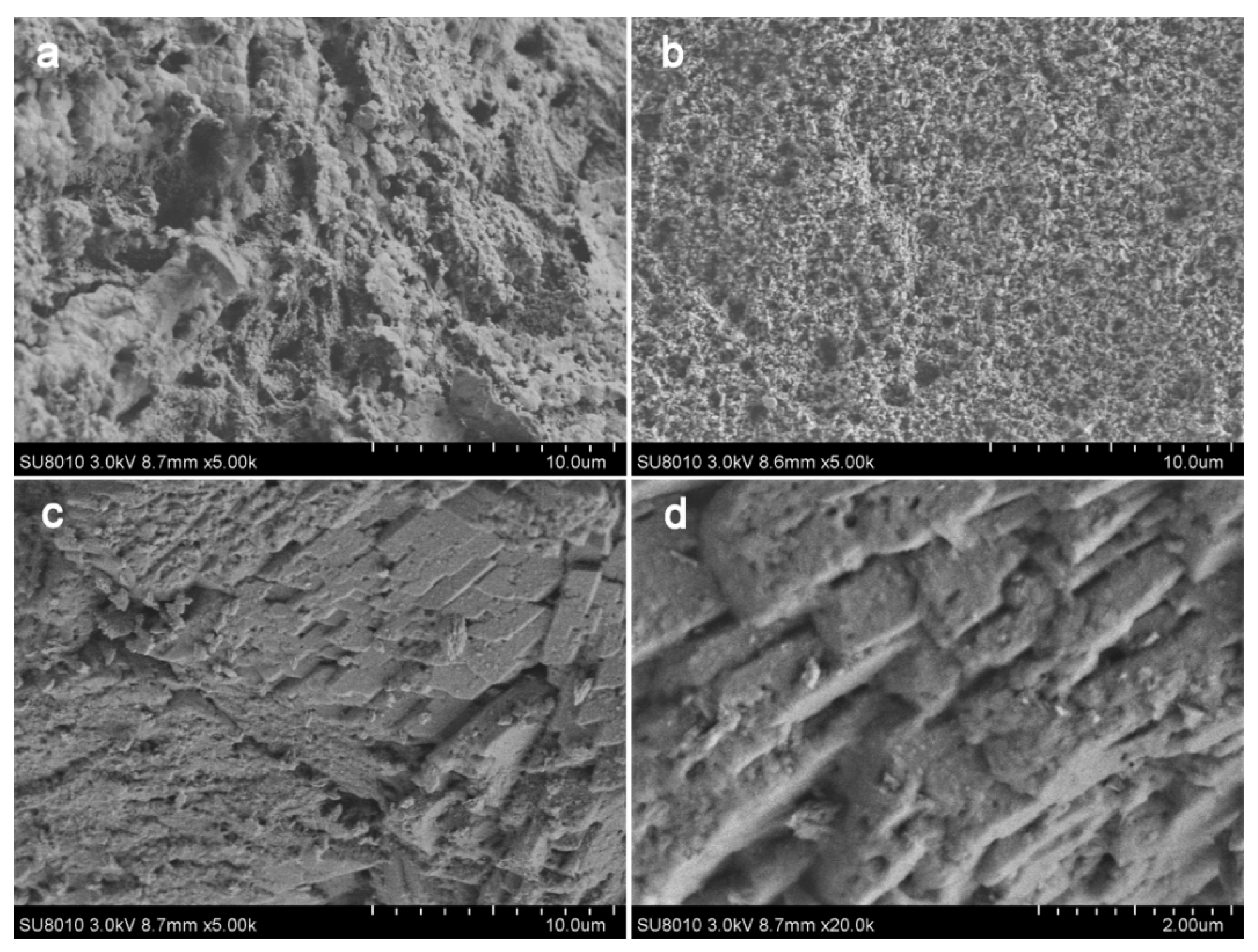 Coatings 12 00860 g005
