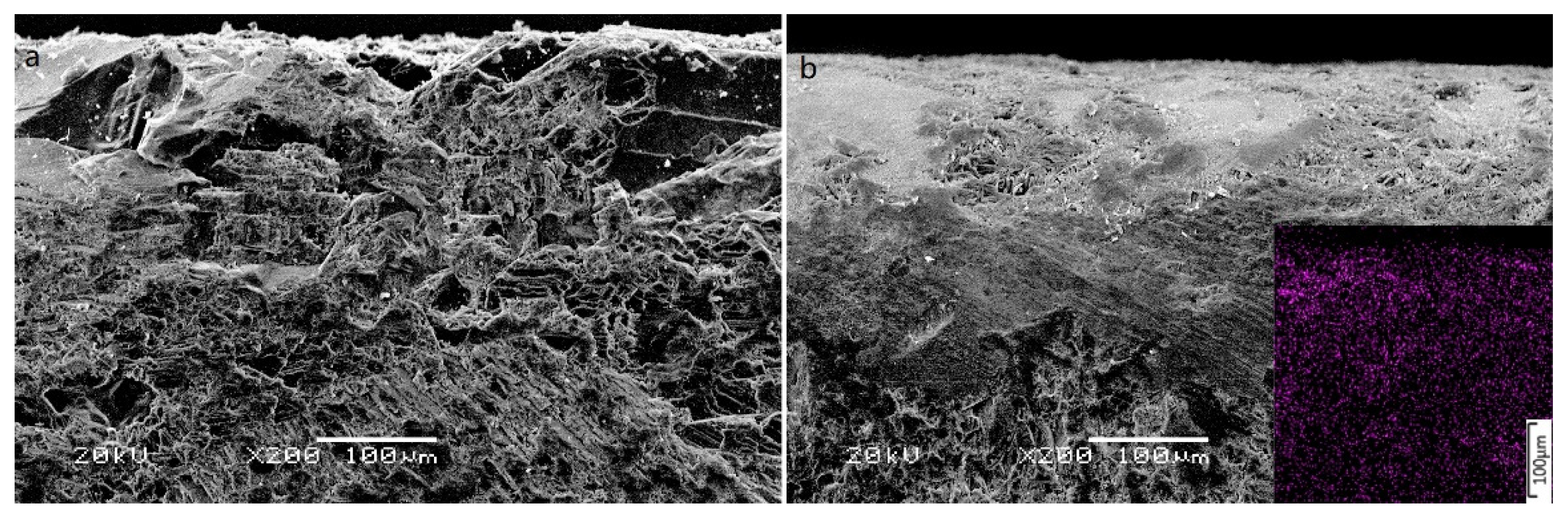 Coatings 12 00860 g008
