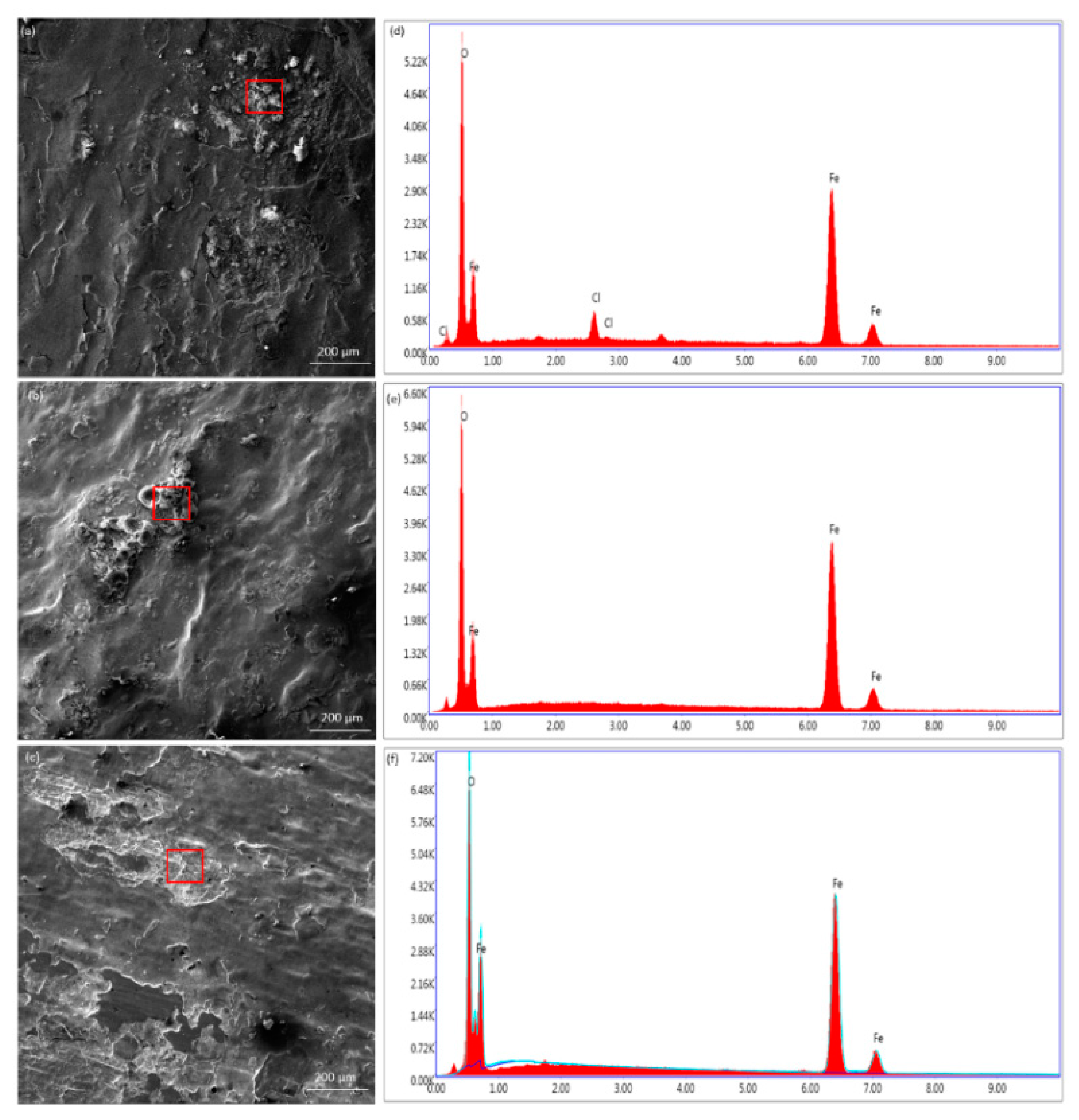 Coatings 12 00861 g006