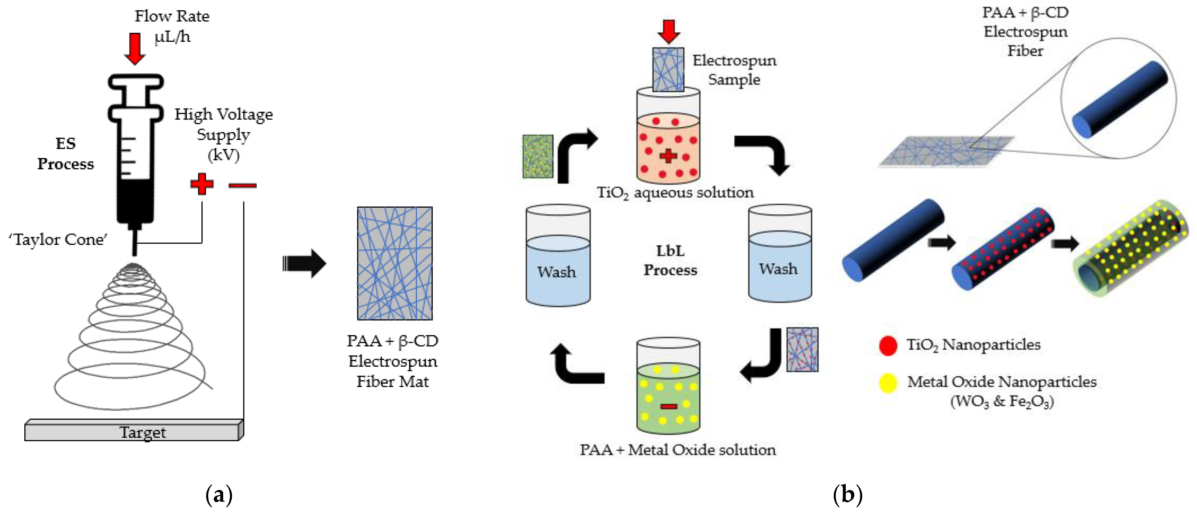 Coatings 12 00862 g001 550