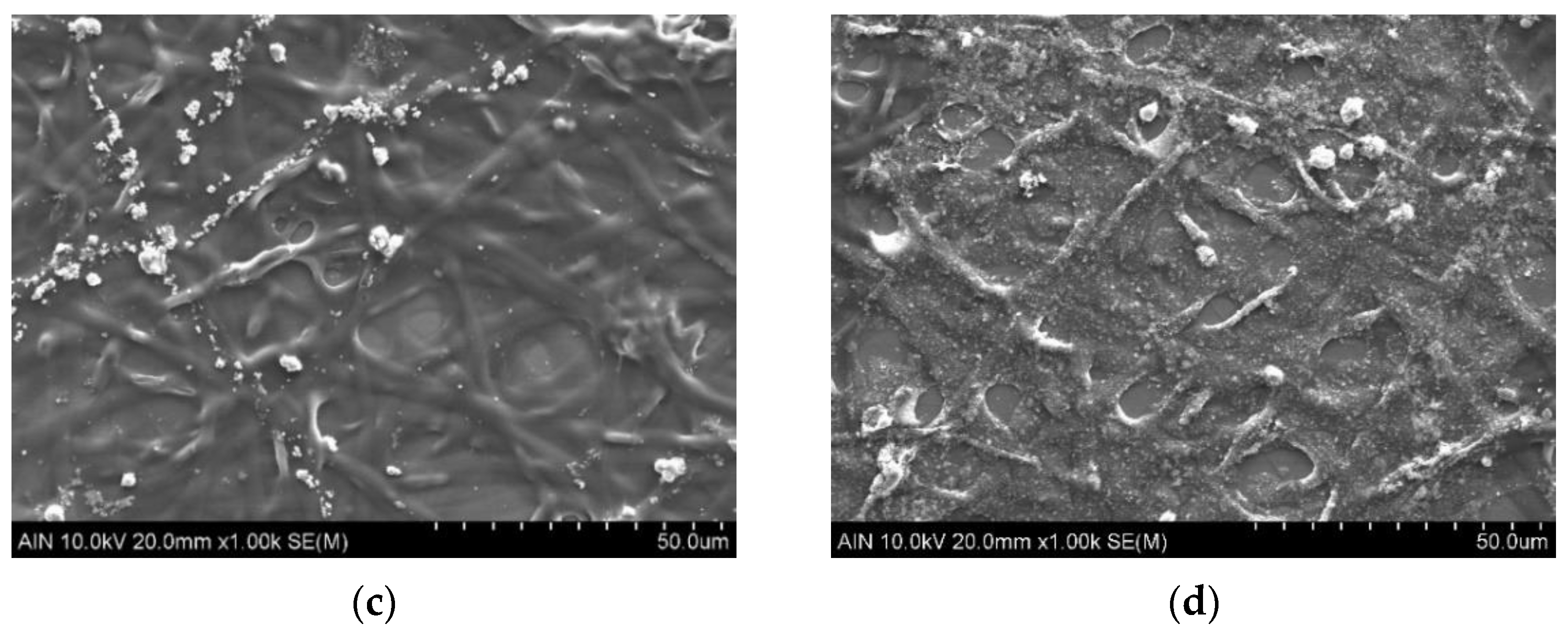 Coatings 12 00862 g005b 550