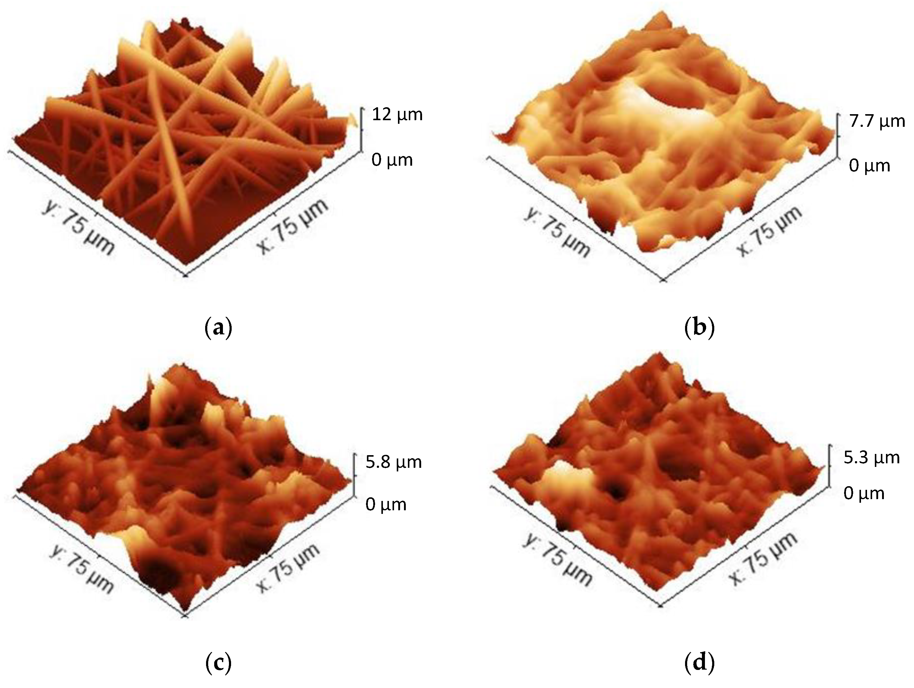 Coatings 12 00862 g007 550