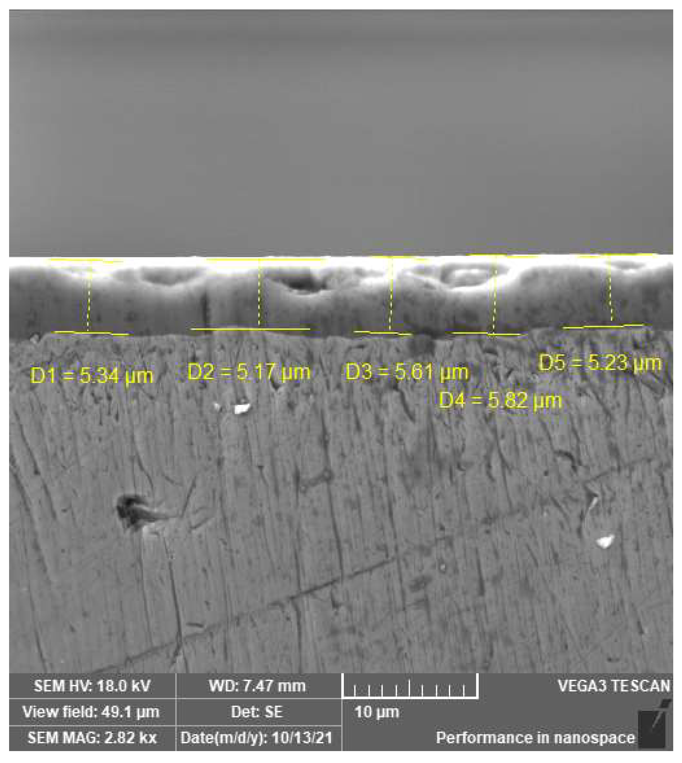 Coatings 12 00863 g002