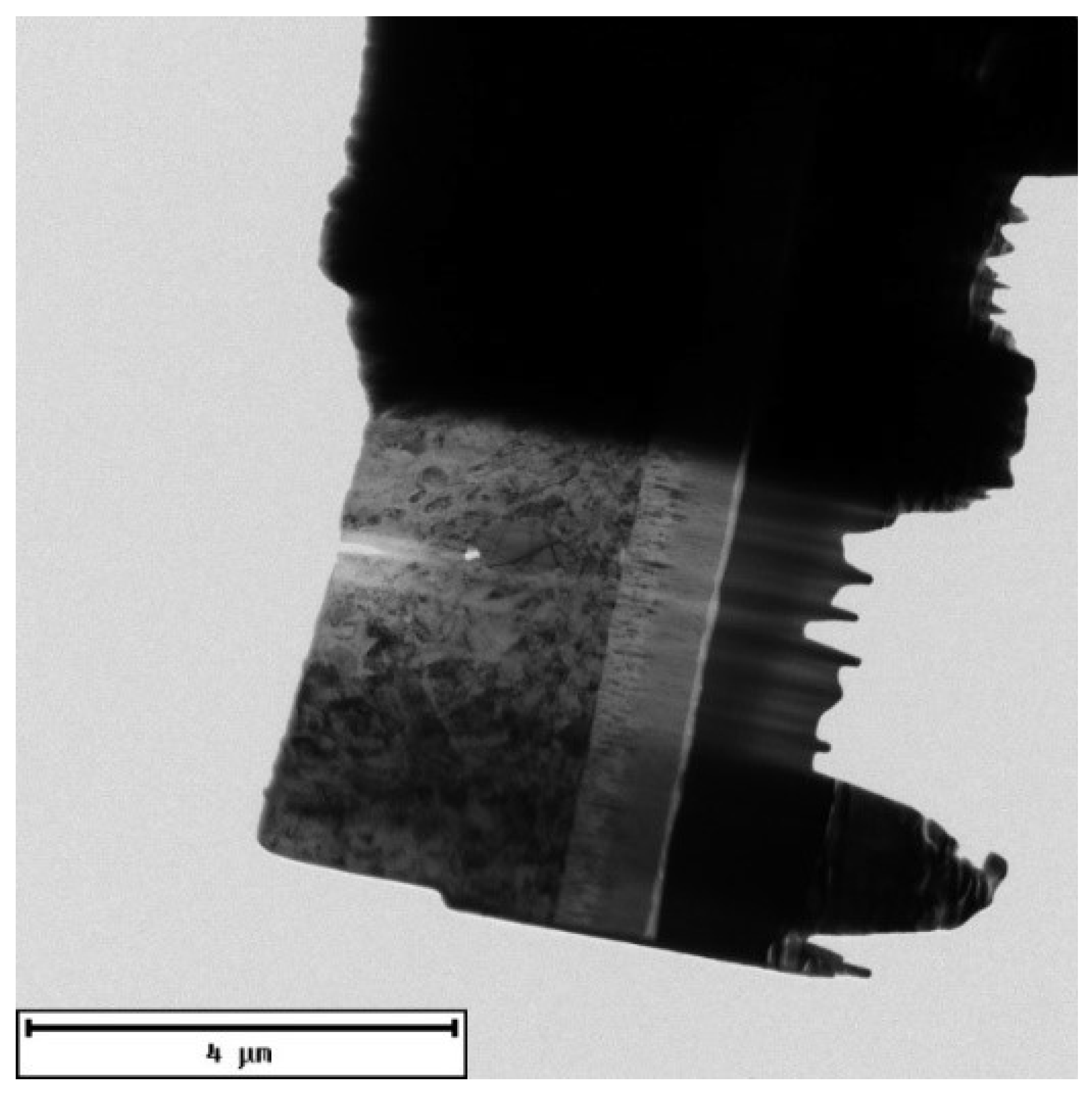 Coatings 12 00863 g005