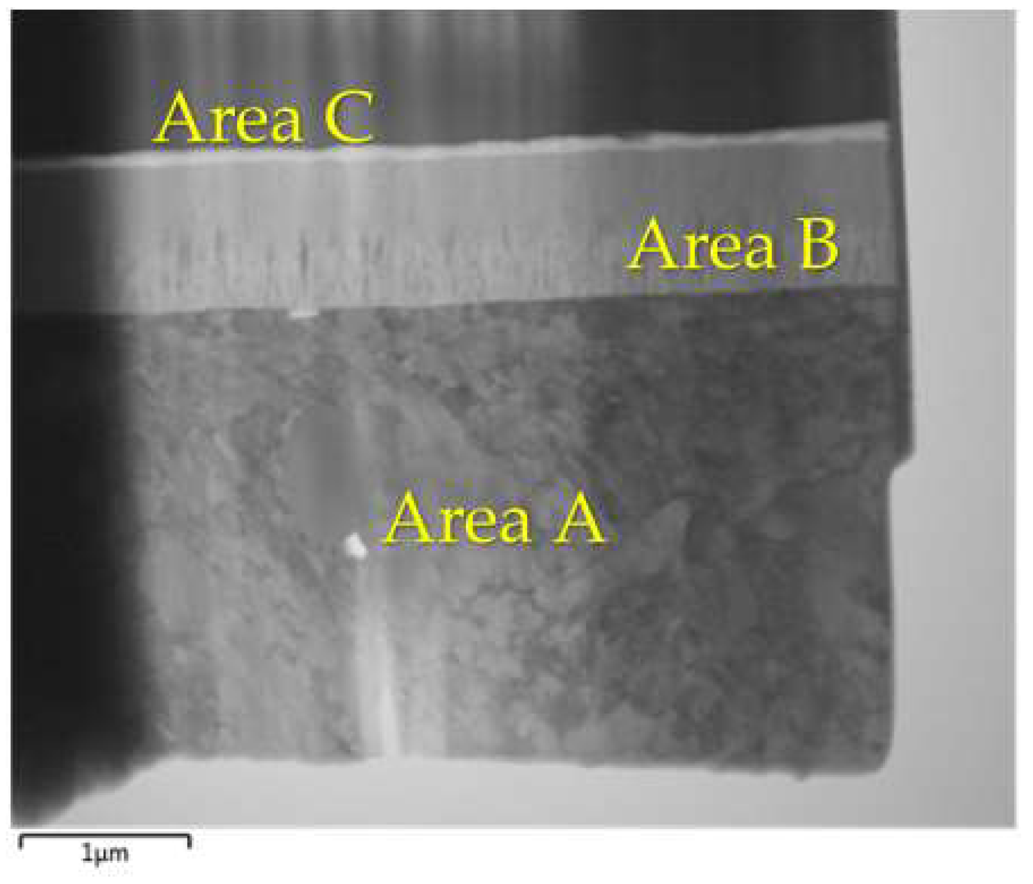 Coatings 12 00863 g006