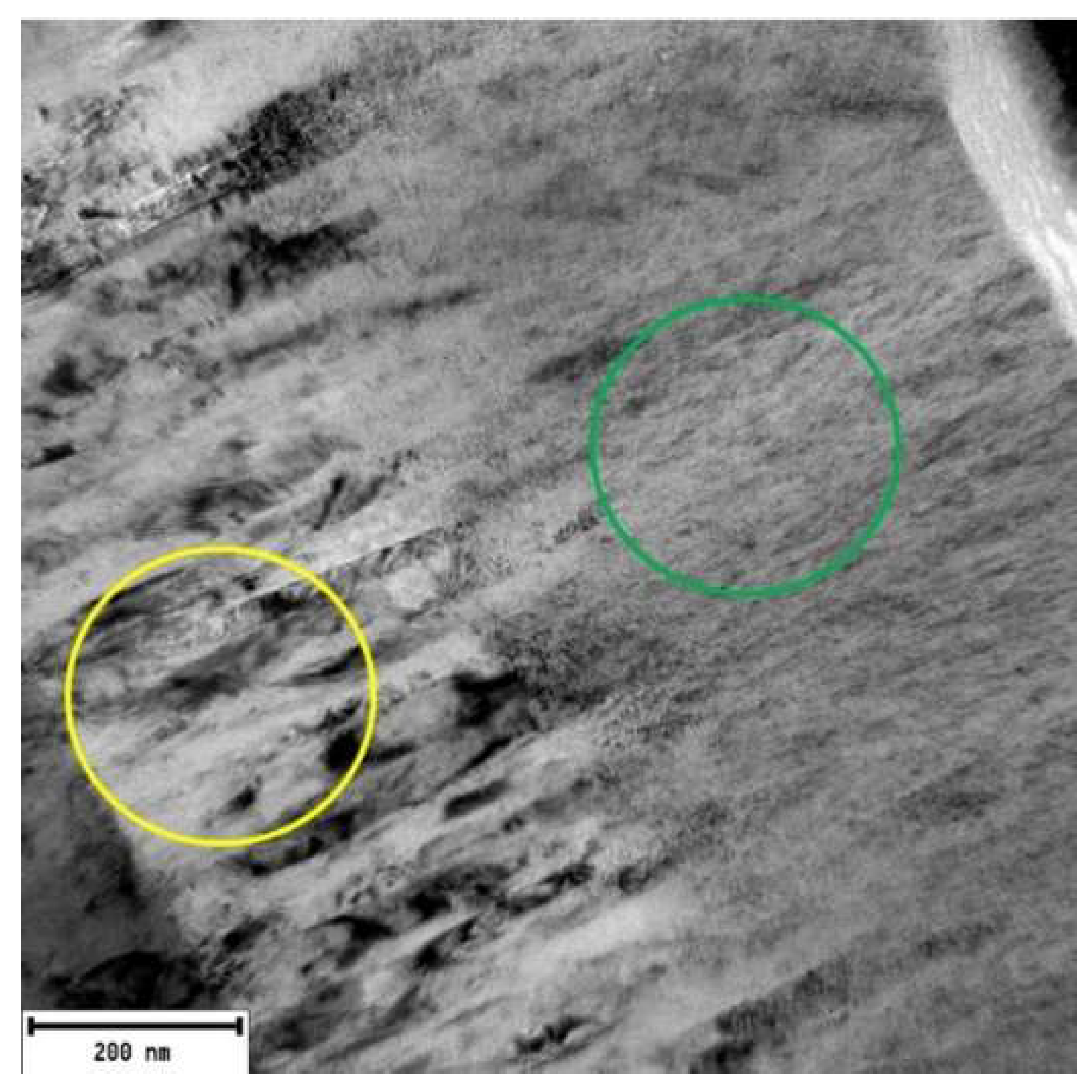 Coatings 12 00863 g009