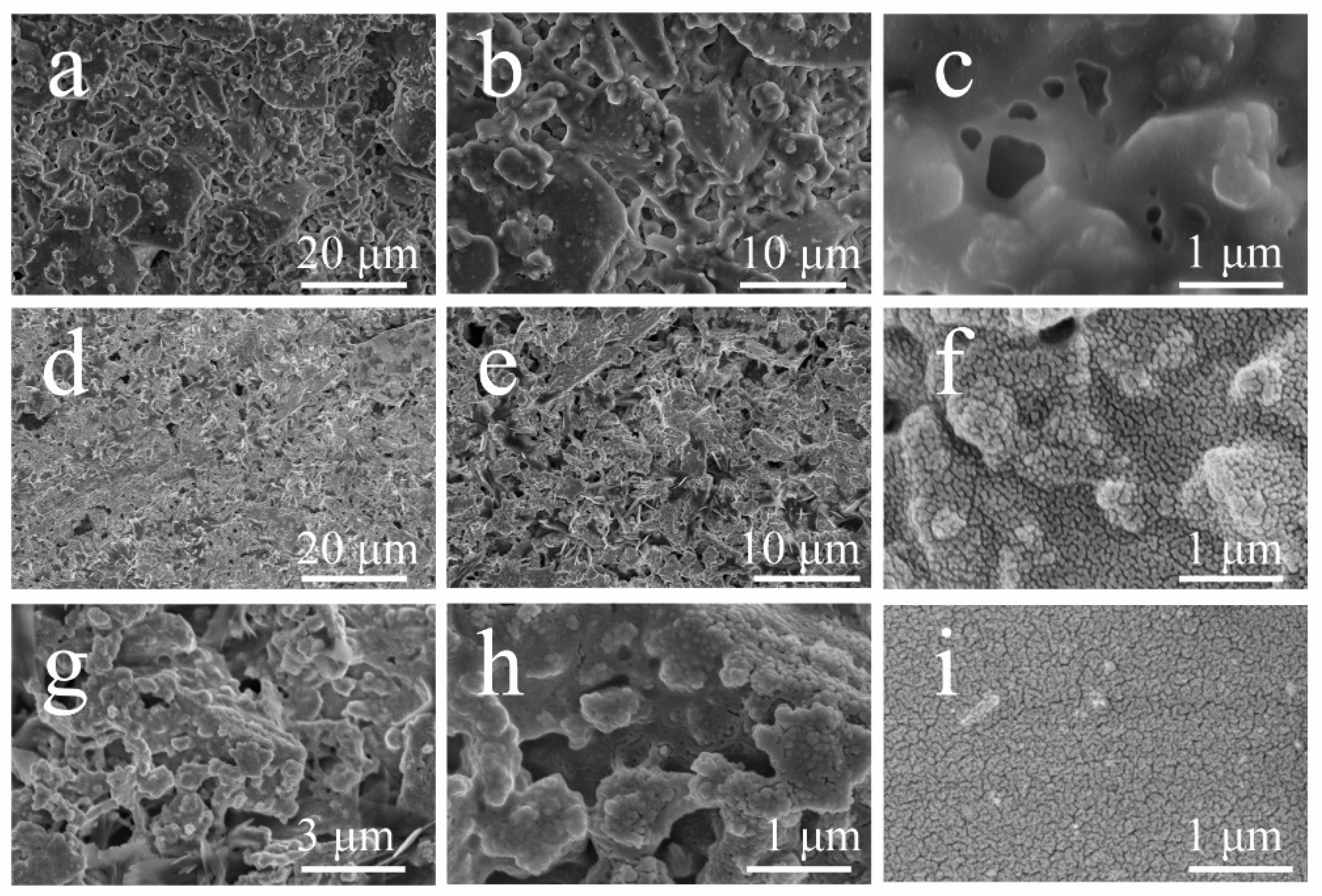 Coatings 12 00864 g003