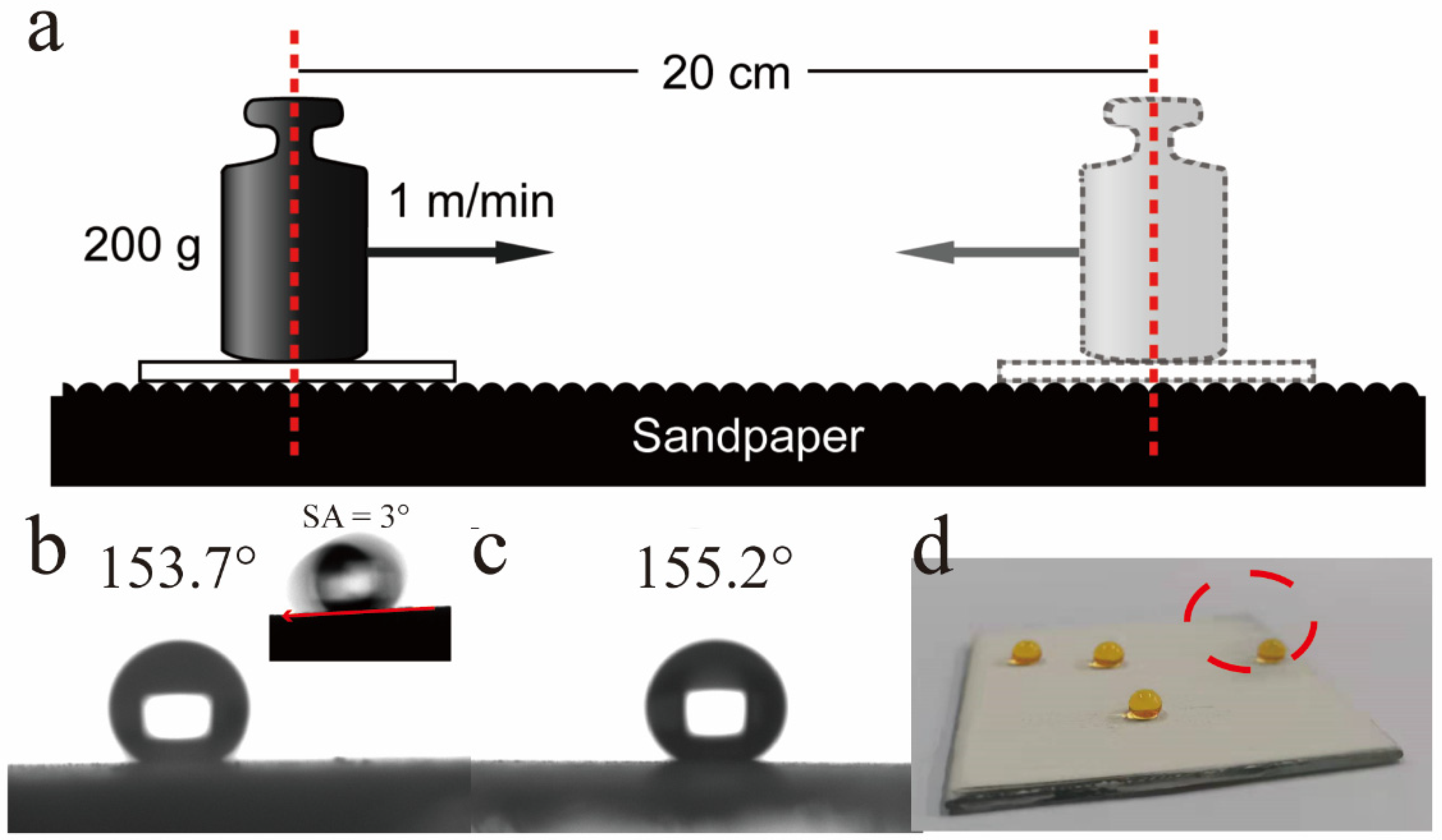 Coatings 12 00864 g007
