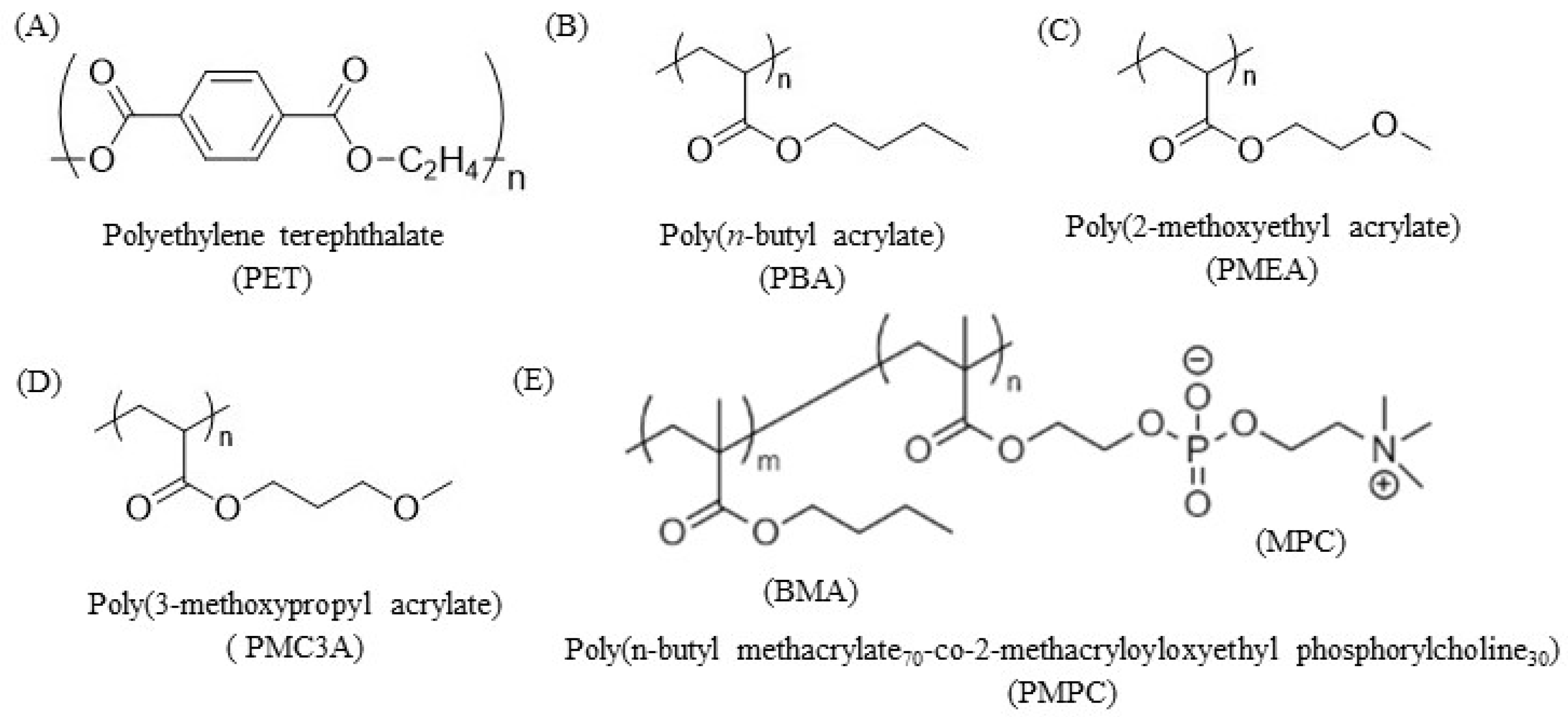 Coatings 12 00869 g001
