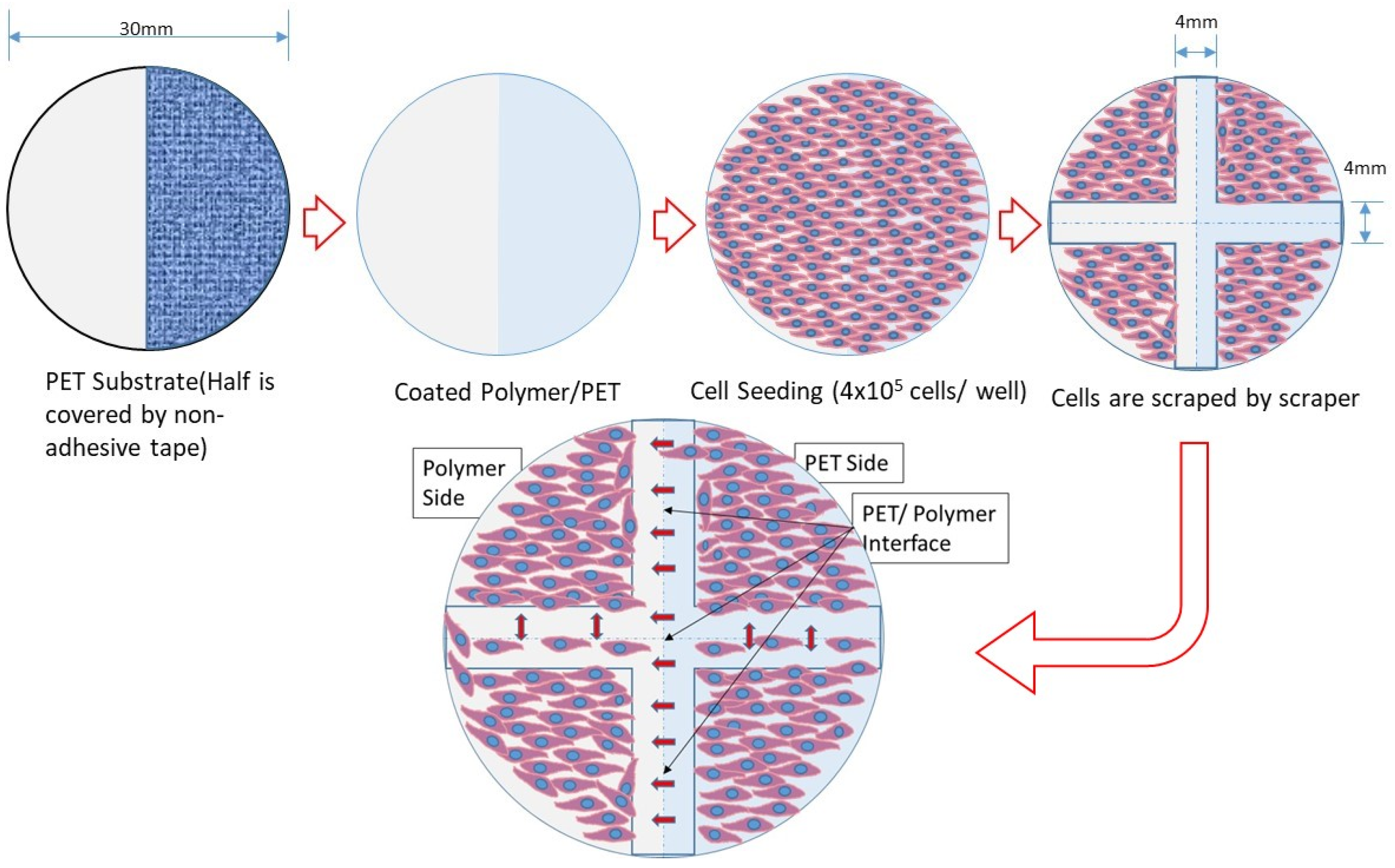 Coatings 12 00869 g002