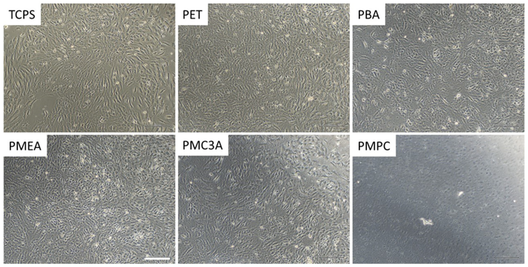 Coatings 12 00869 g003