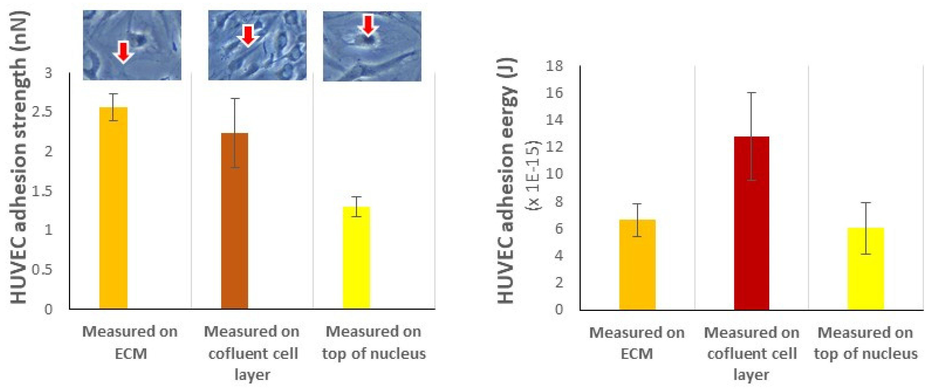 Coatings 12 00869 g004