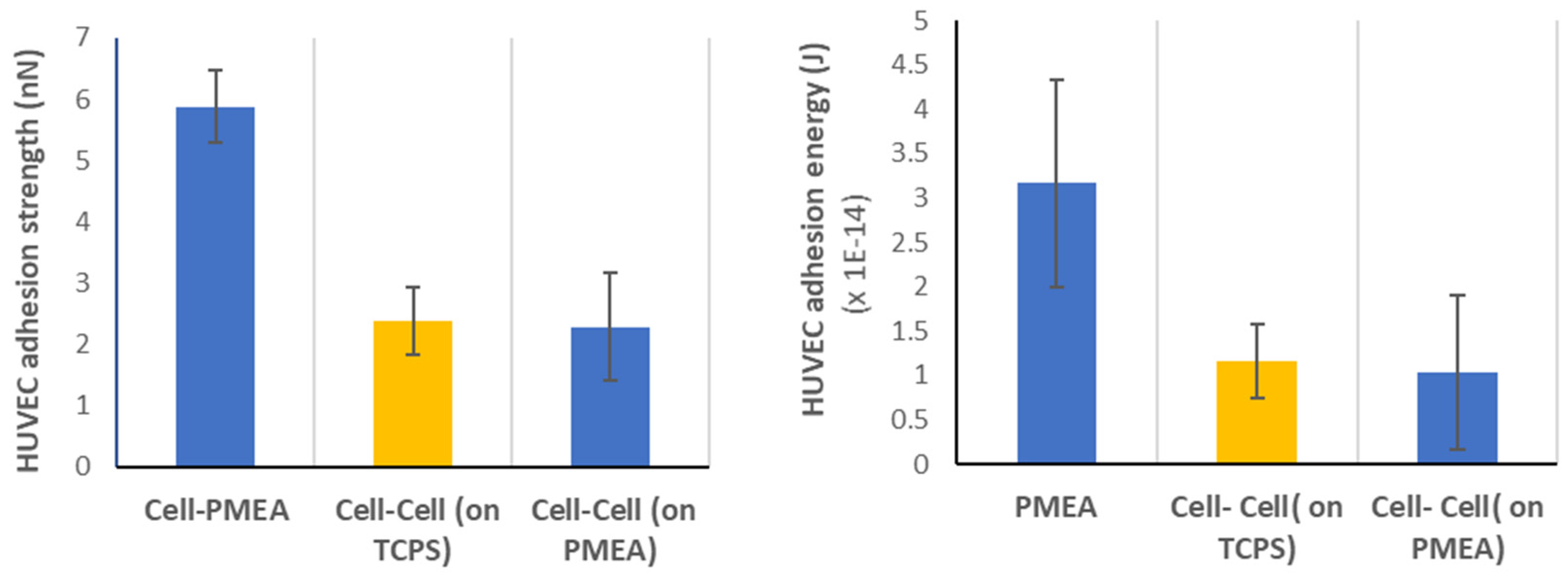 Coatings 12 00869 g005
