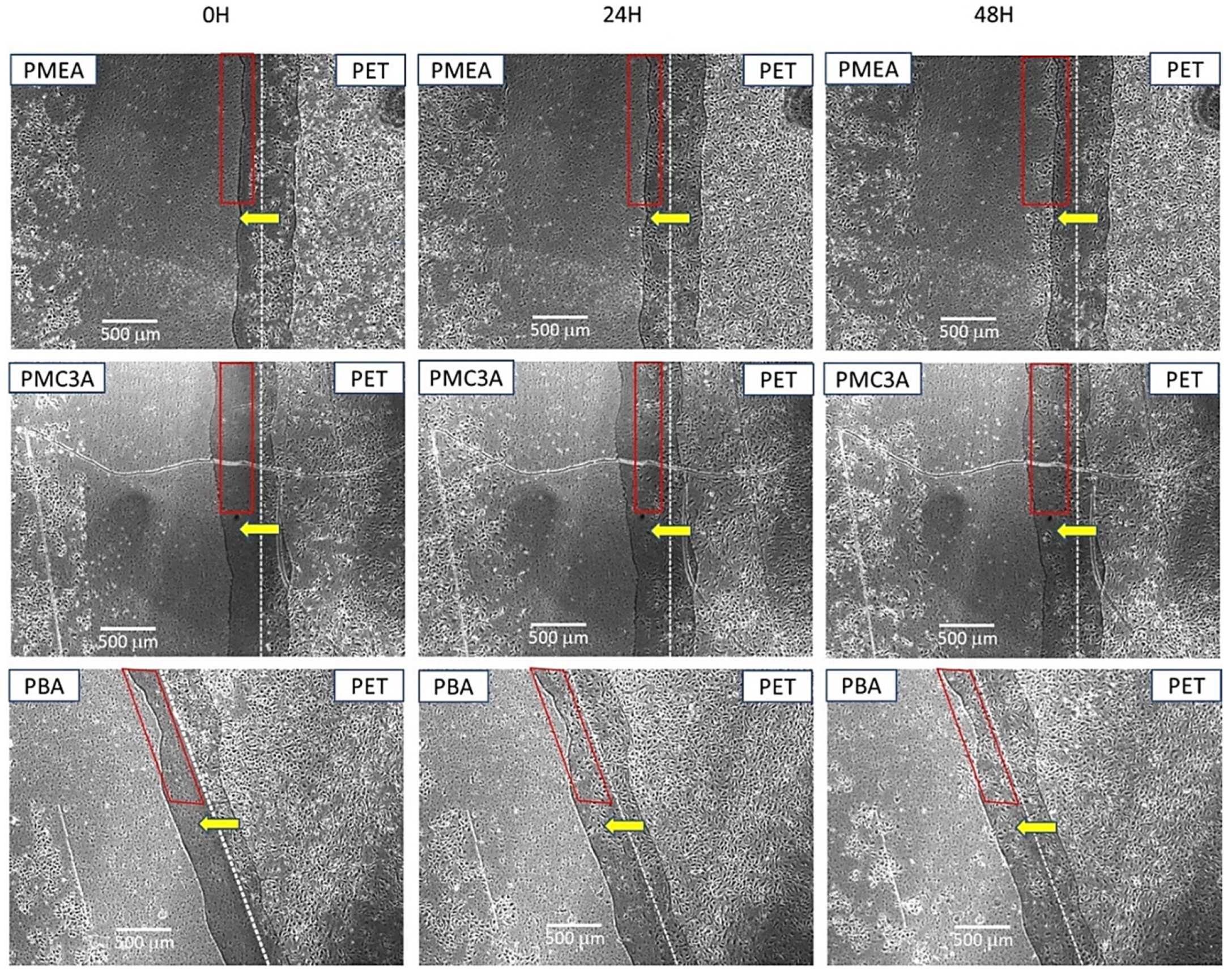 Coatings 12 00869 g007
