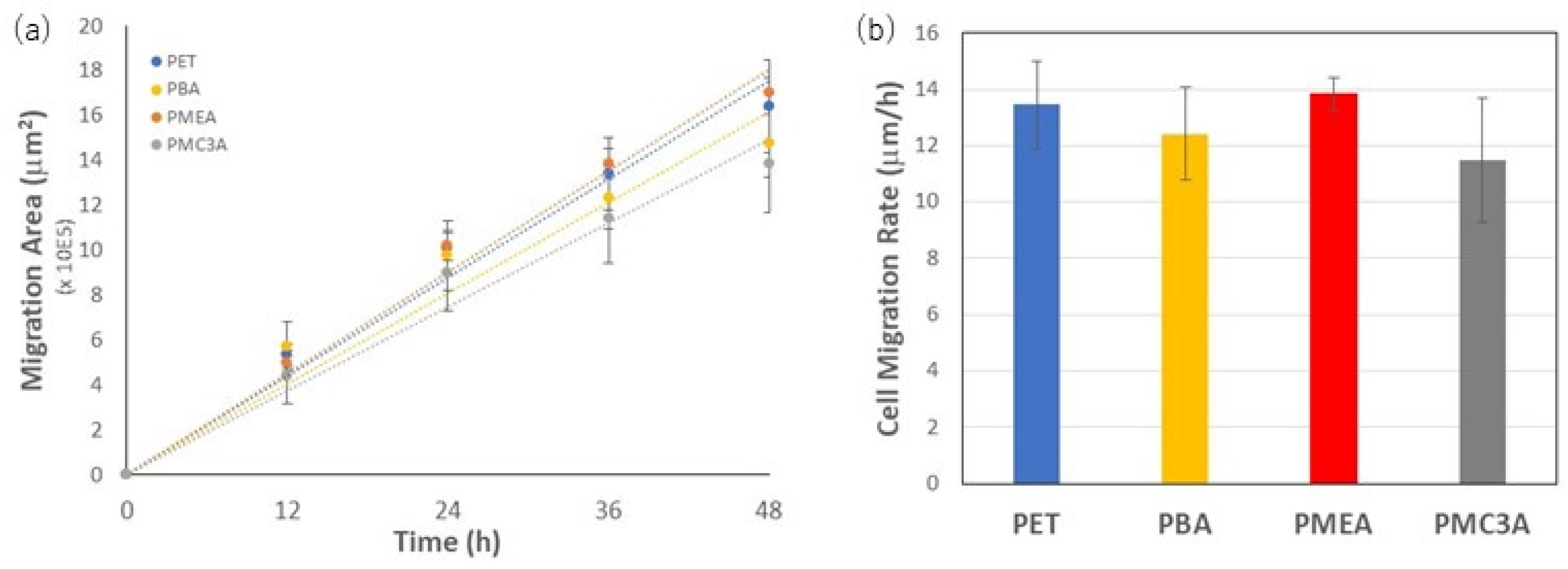 Coatings 12 00869 g008