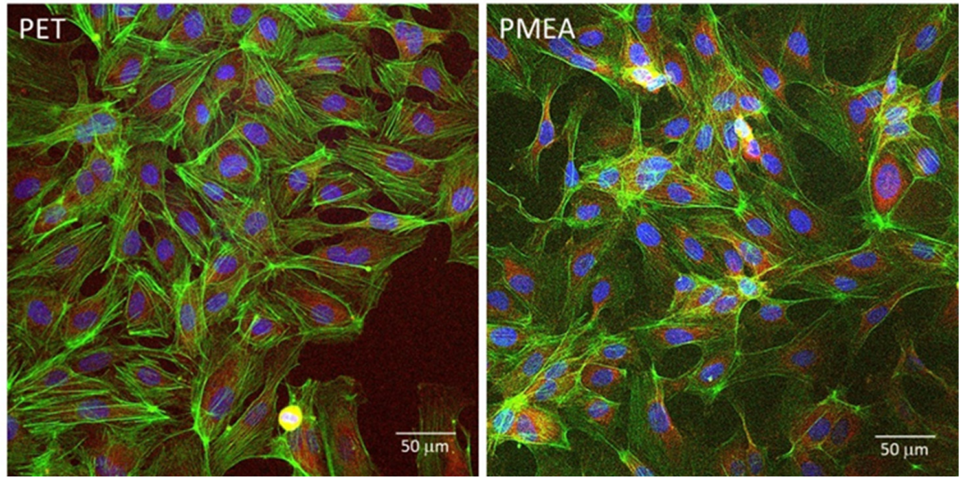 Coatings 12 00869 g009