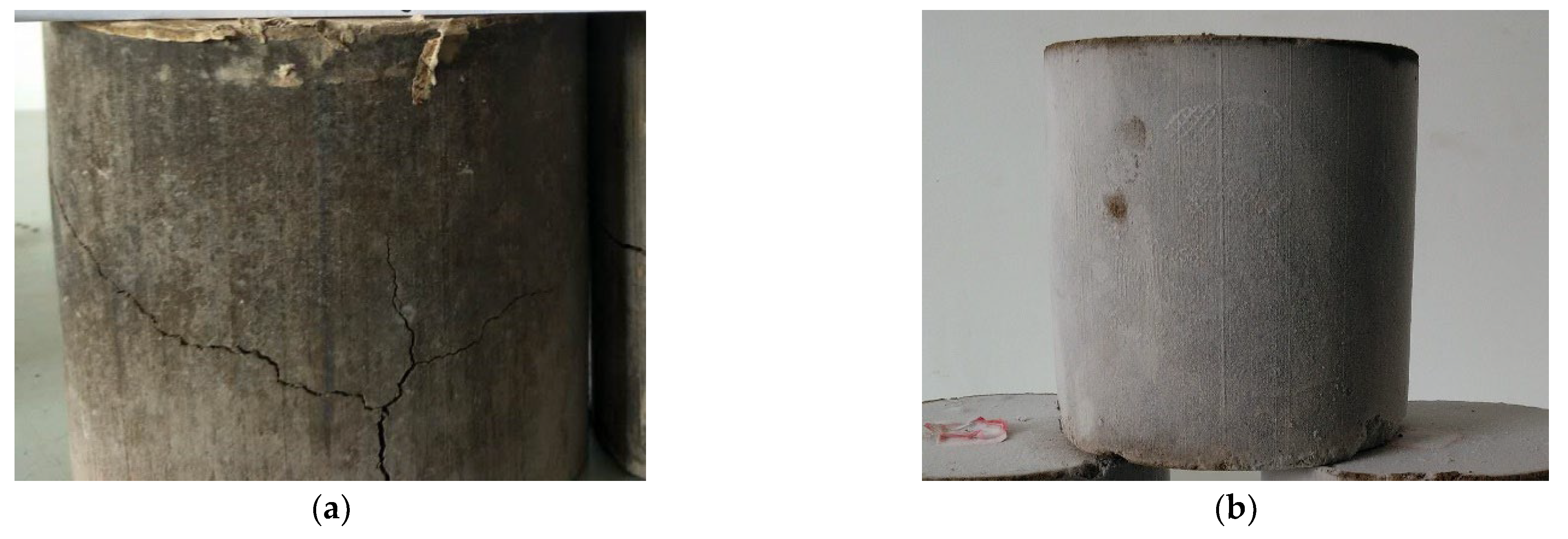 Coatings 12 00870 g010