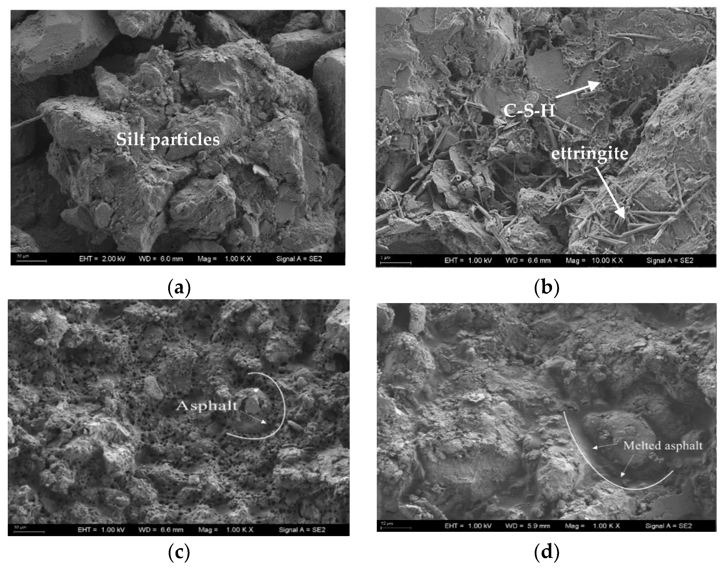 Coatings 12 00870 g015