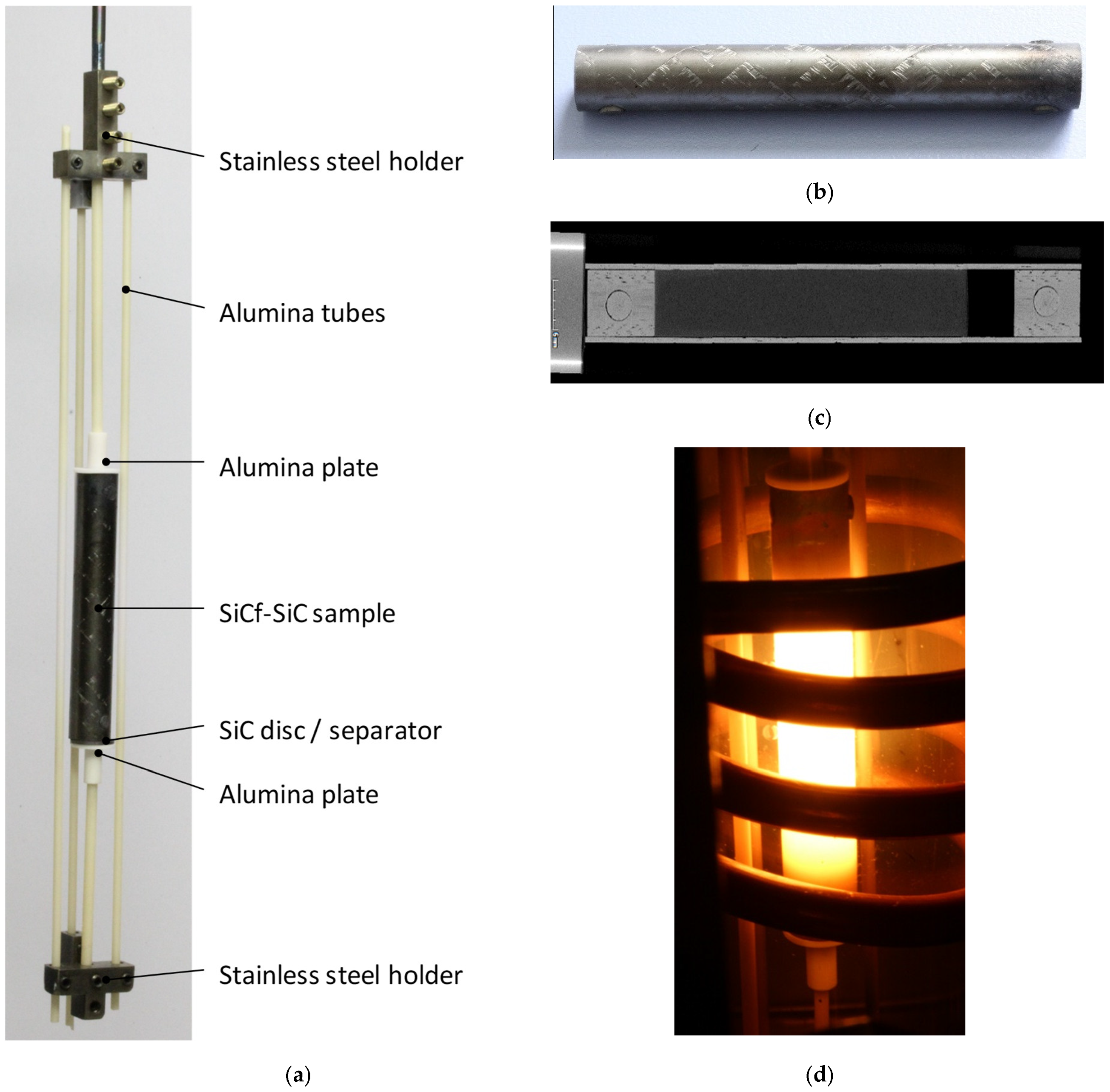Coatings 12 00875 g002 550