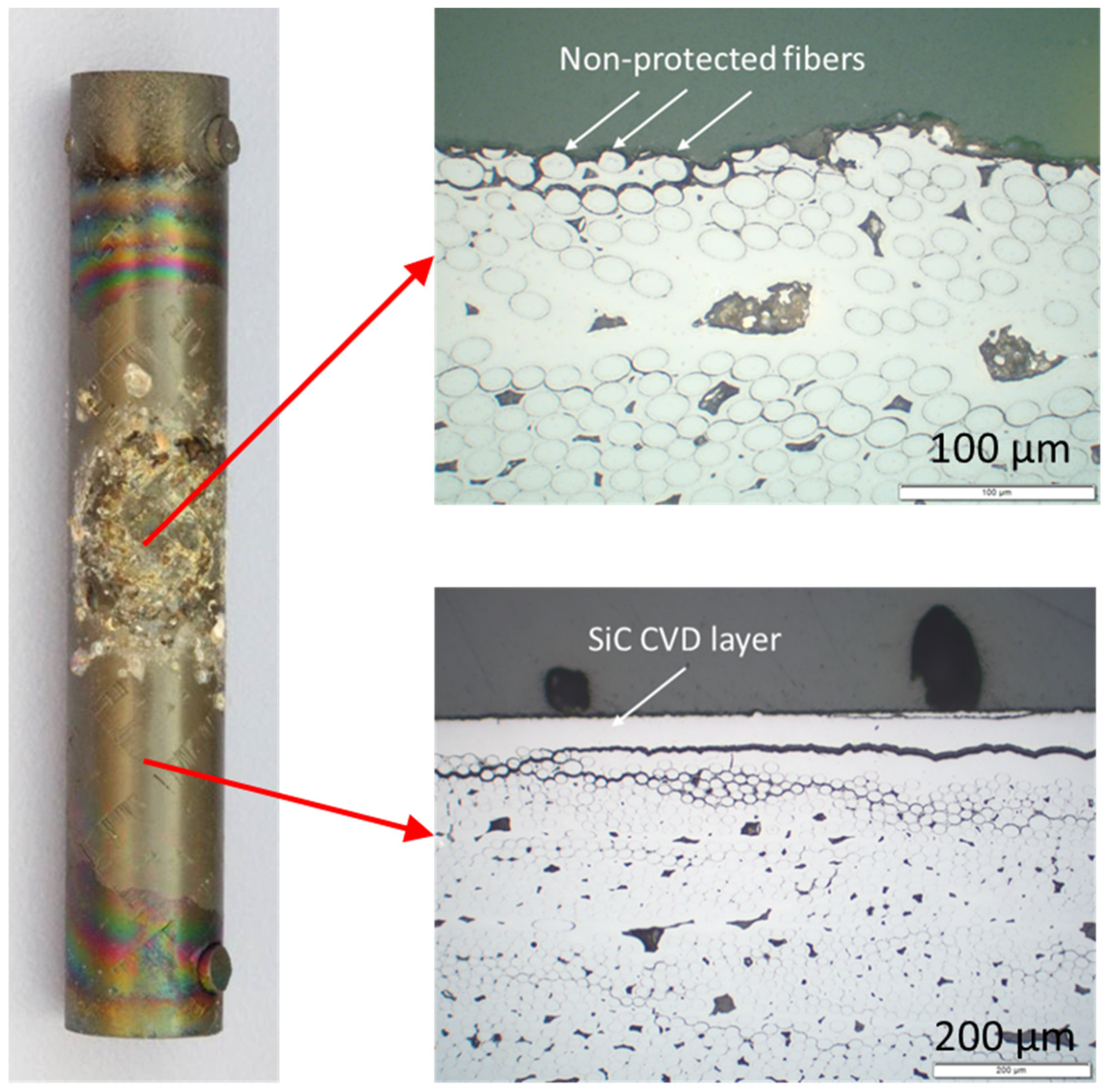 Coatings 12 00875 g005 550