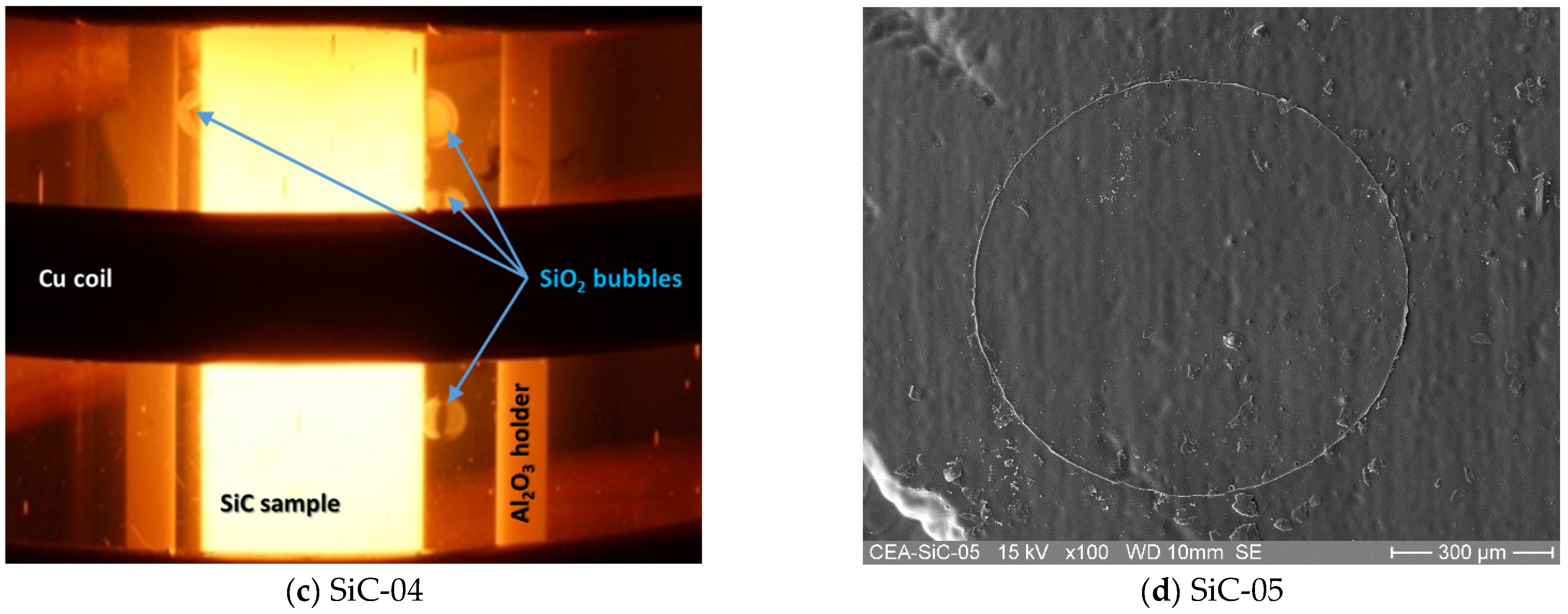 Coatings 12 00875 g009b 550