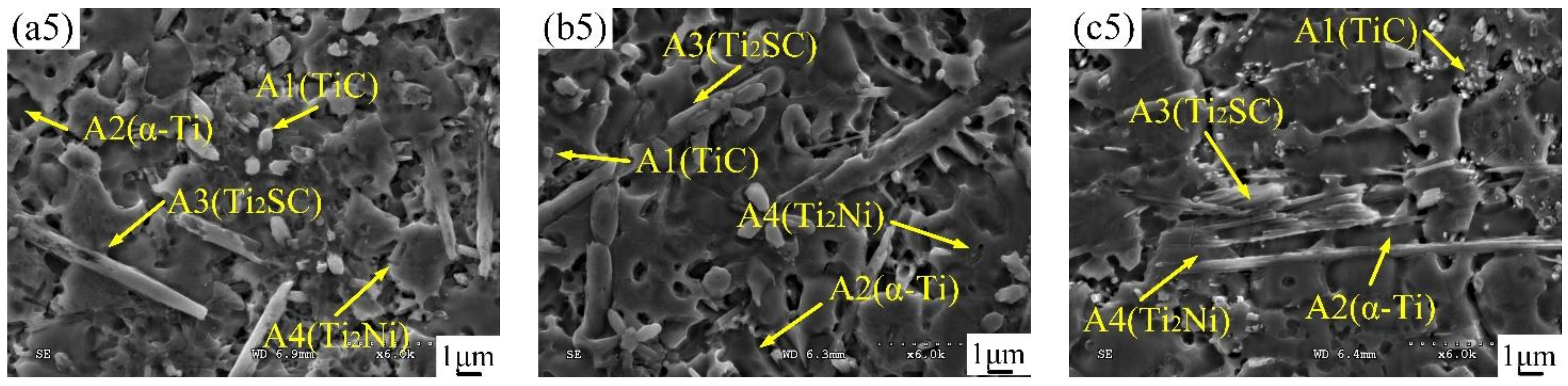 Coatings 12 00876 g006b