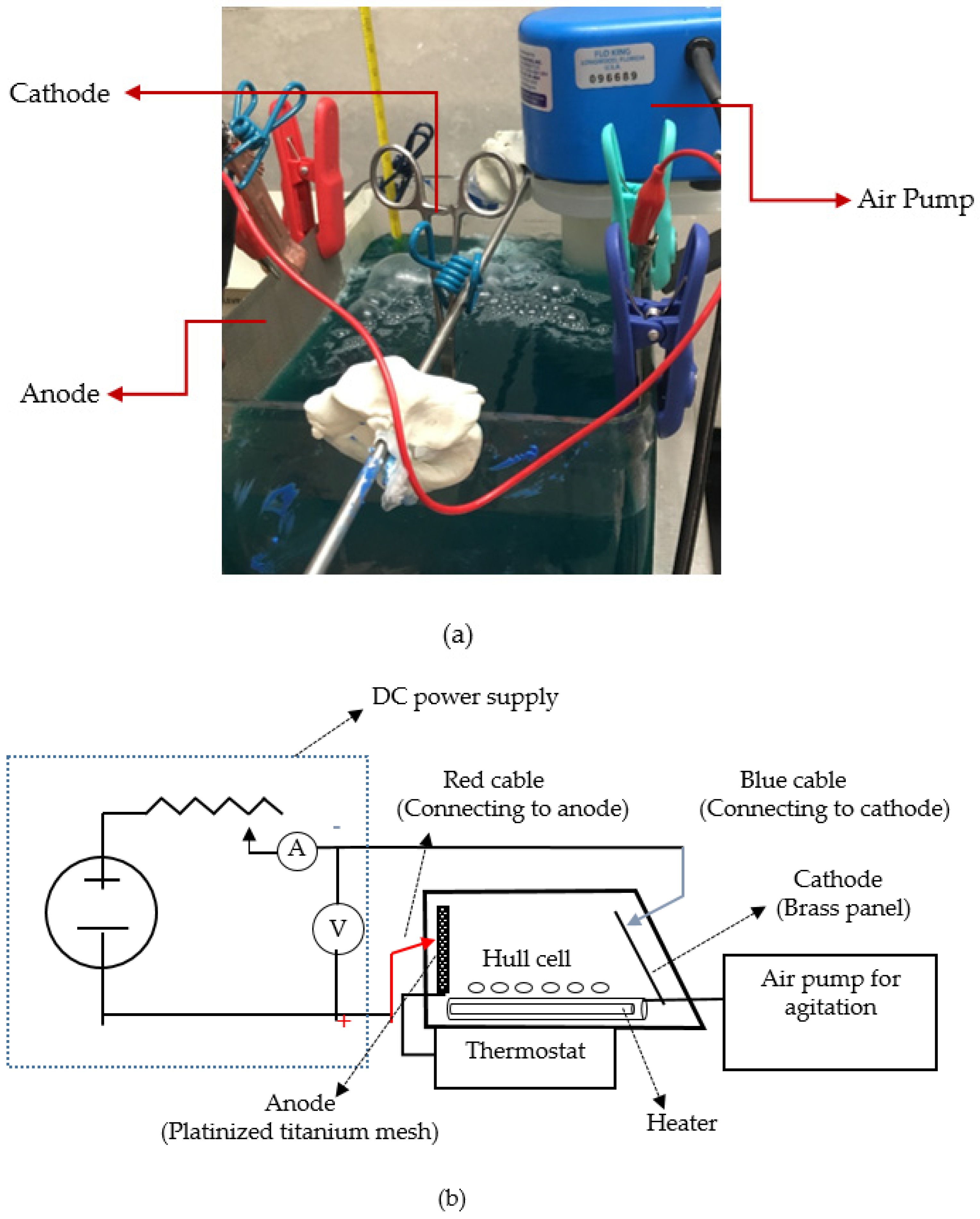 Coatings 12 00878 g001