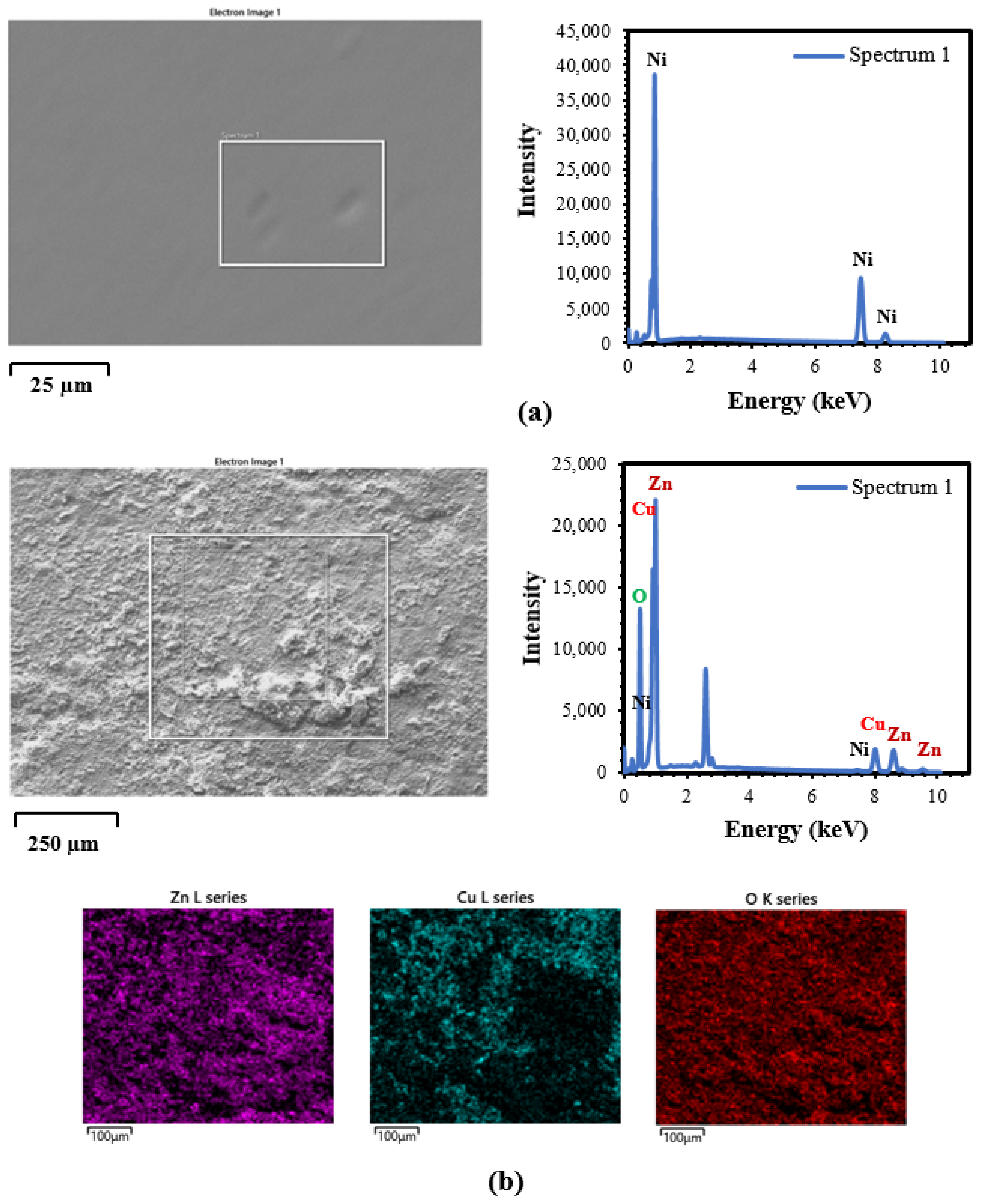 Coatings 12 00878 g008