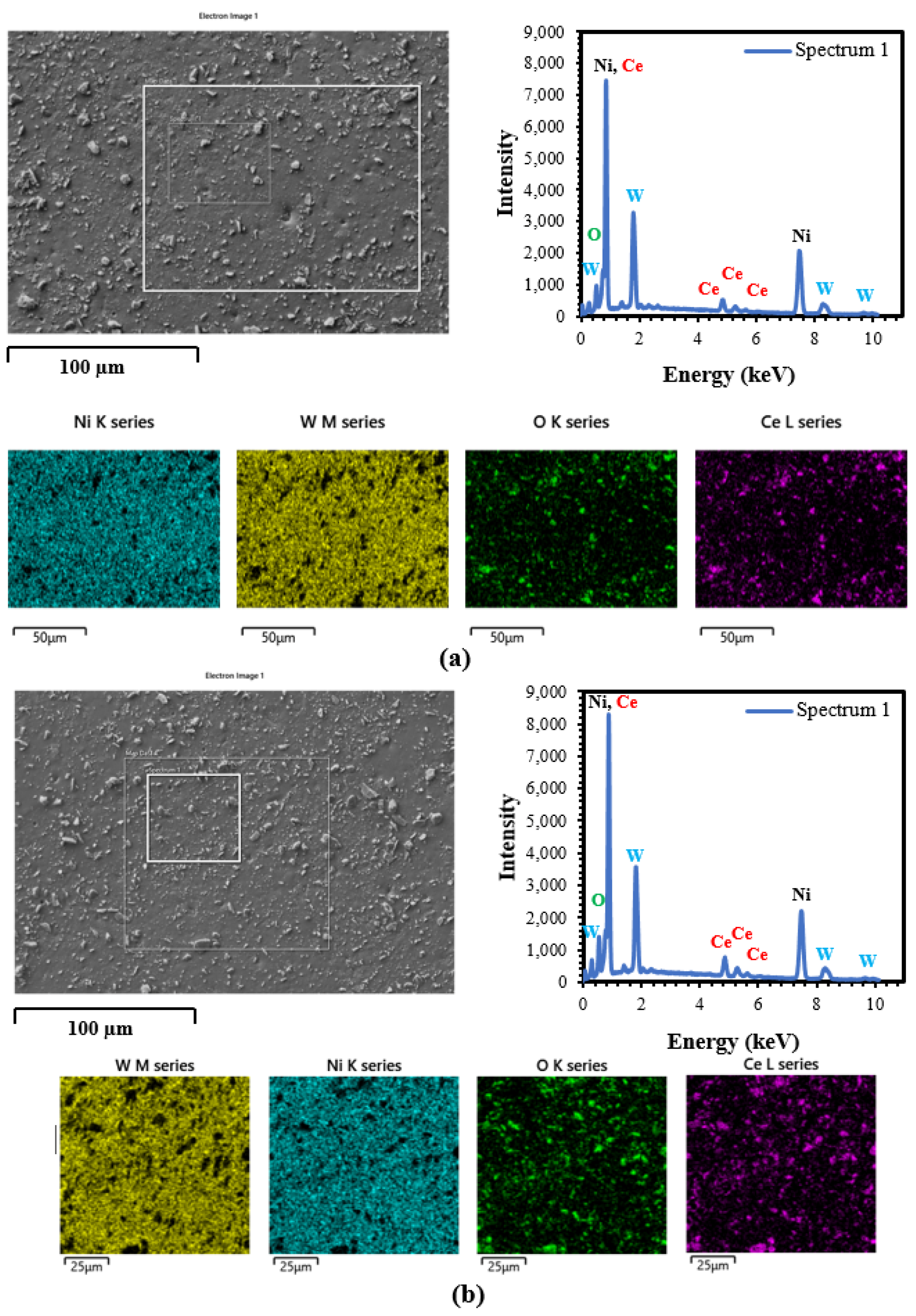 Coatings 12 00878 g012