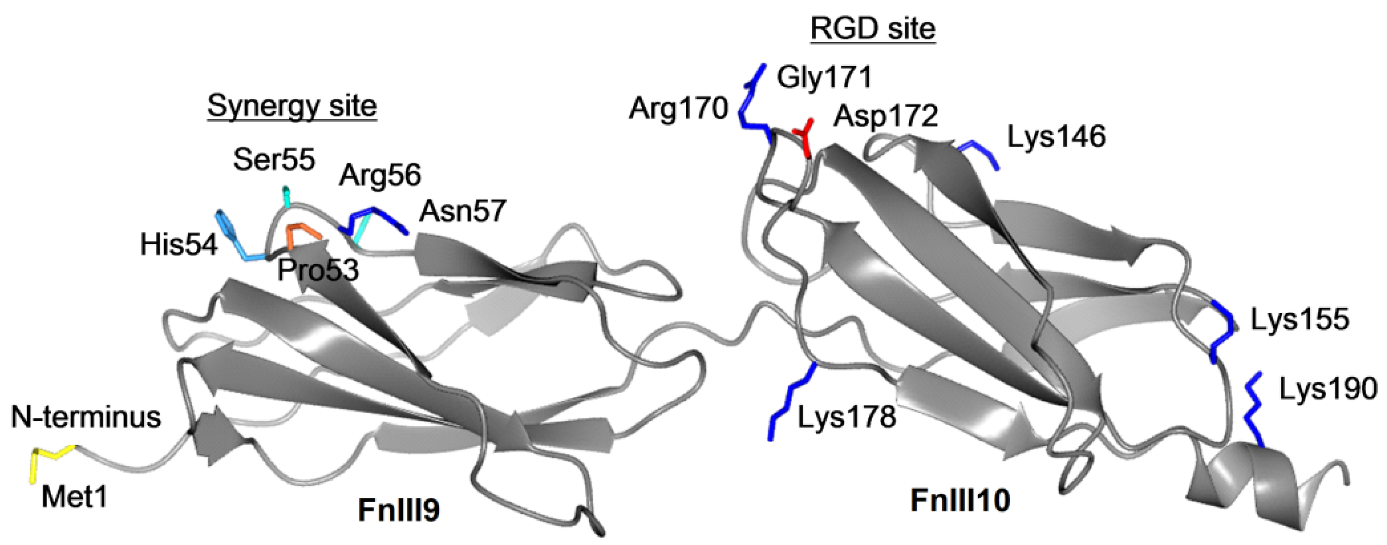Coatings 12 00880 g008 550