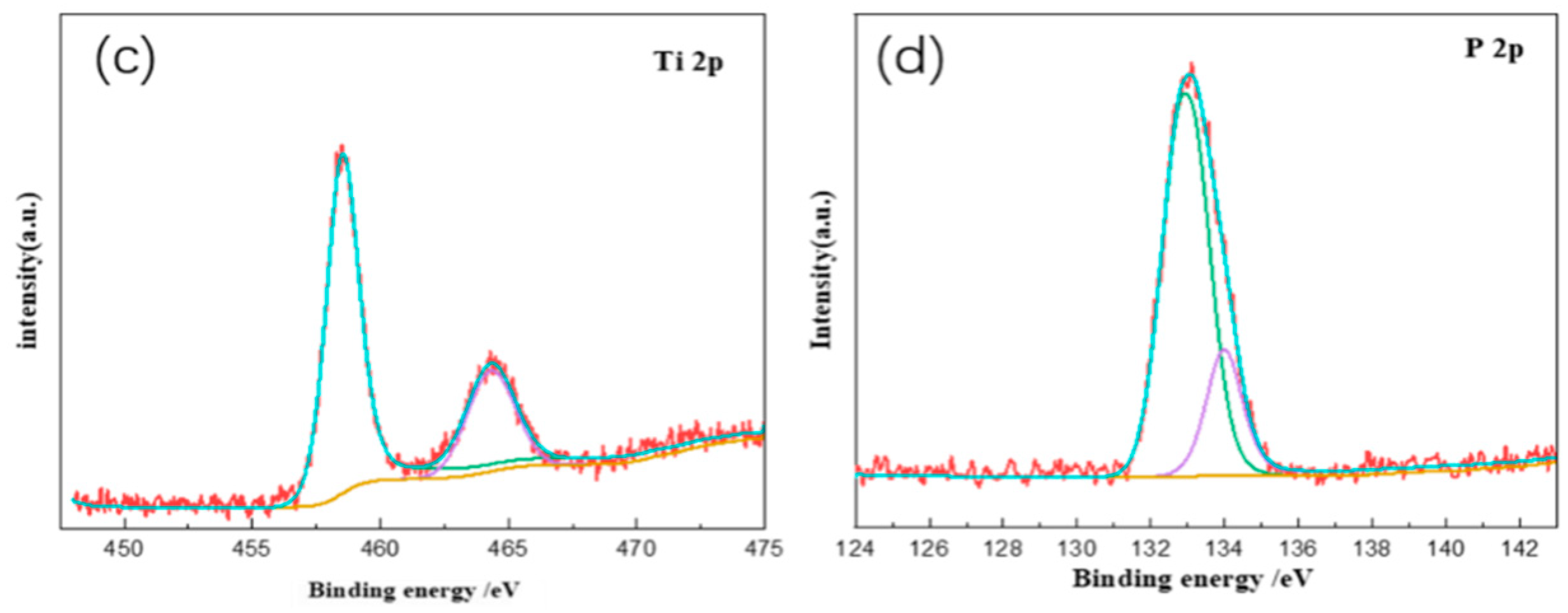 Coatings 12 00883 g003b