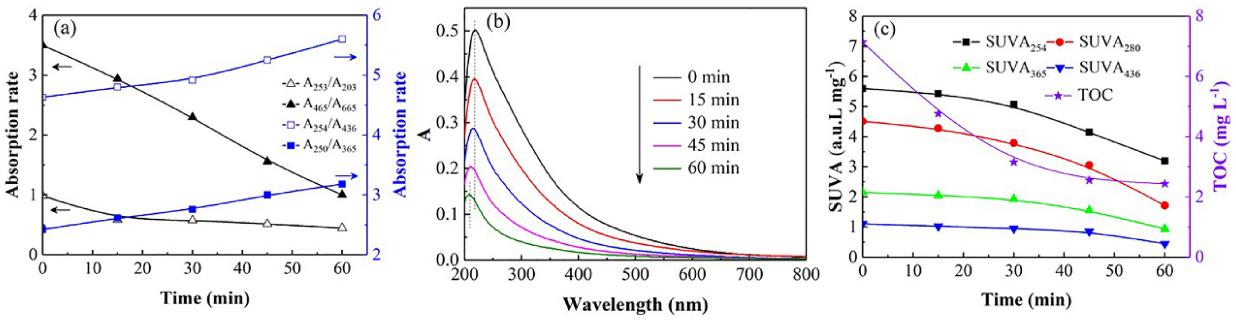 Coatings 12 00885 g005