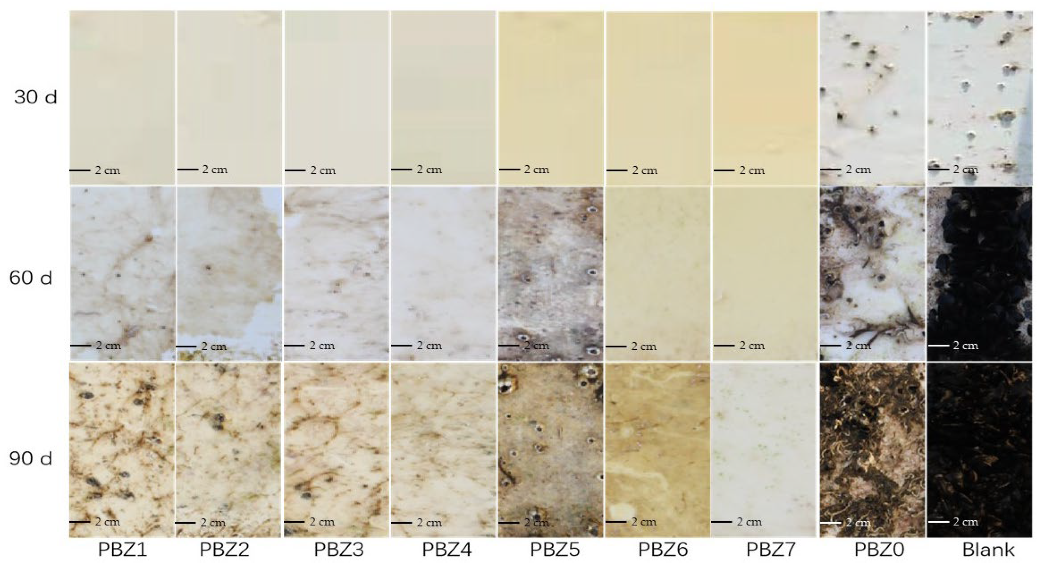 Coatings 12 00891 g006