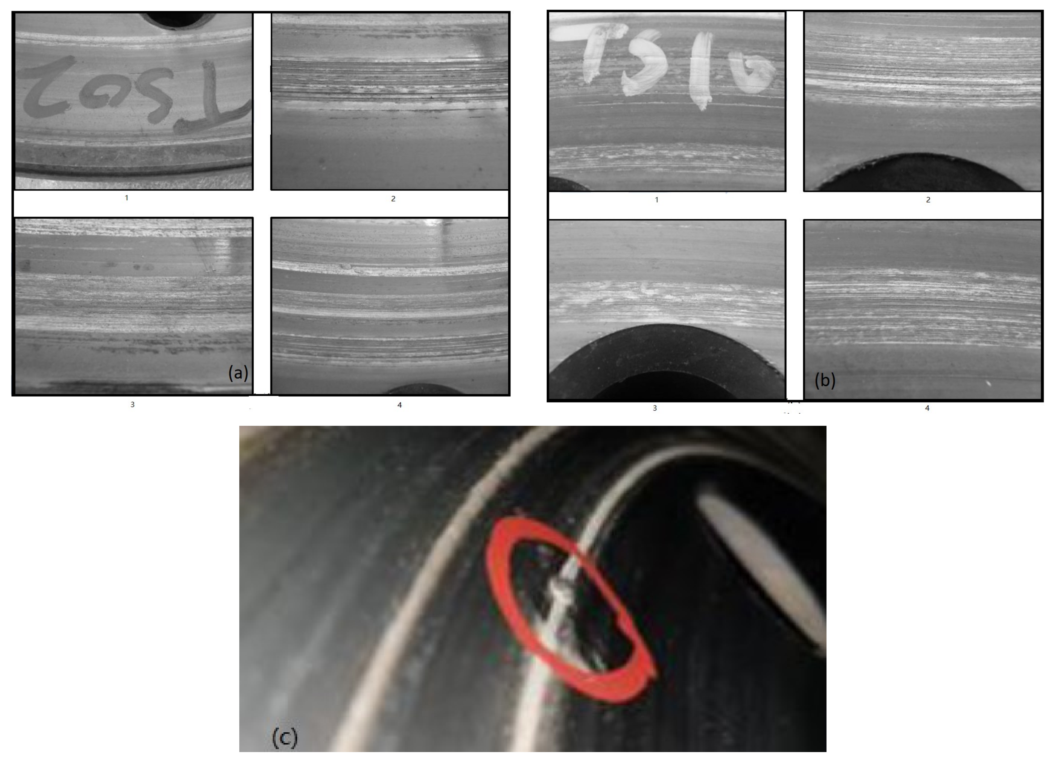 Coatings 12 00894 g003