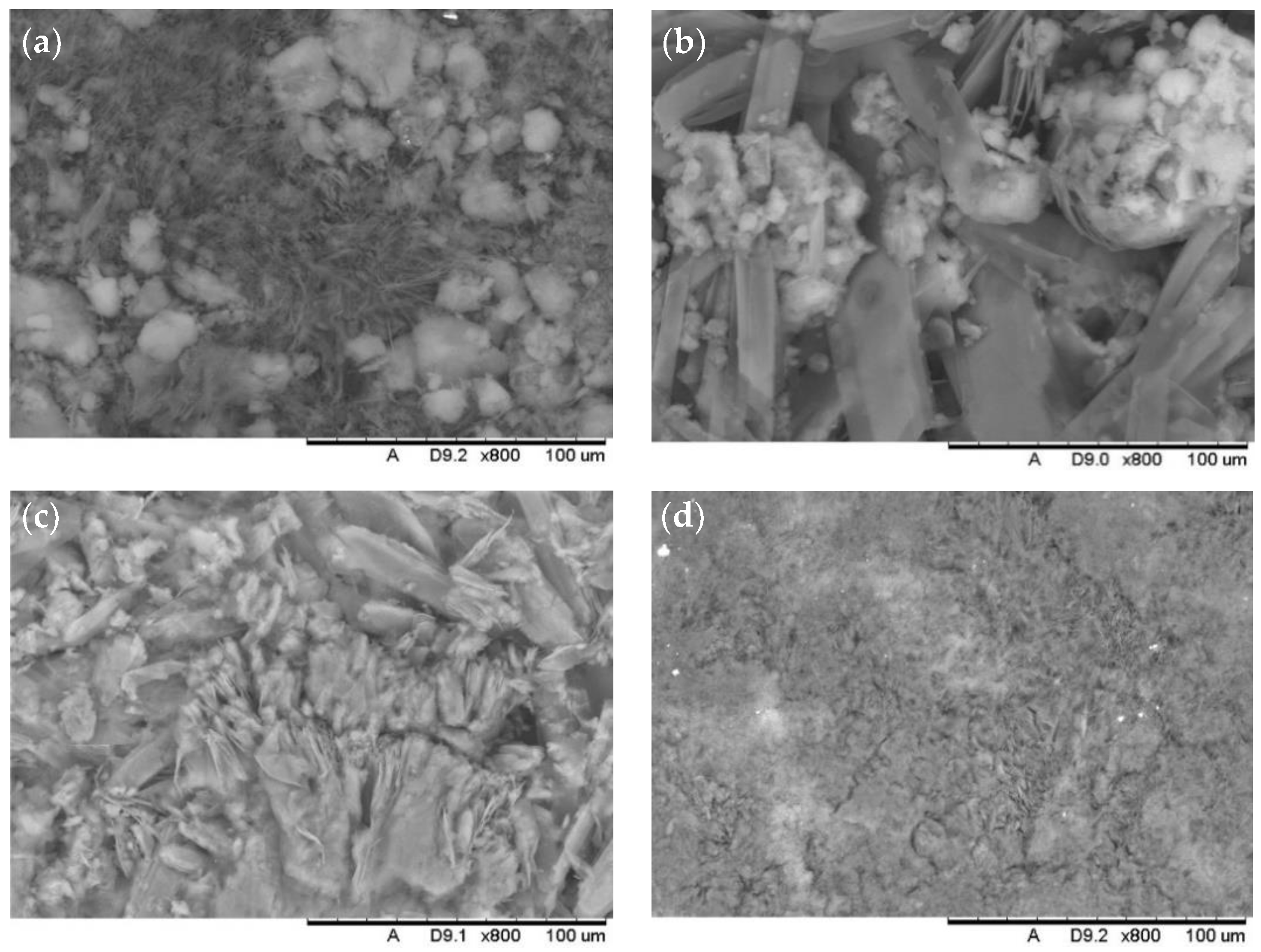 Coatings 12 00895 g005