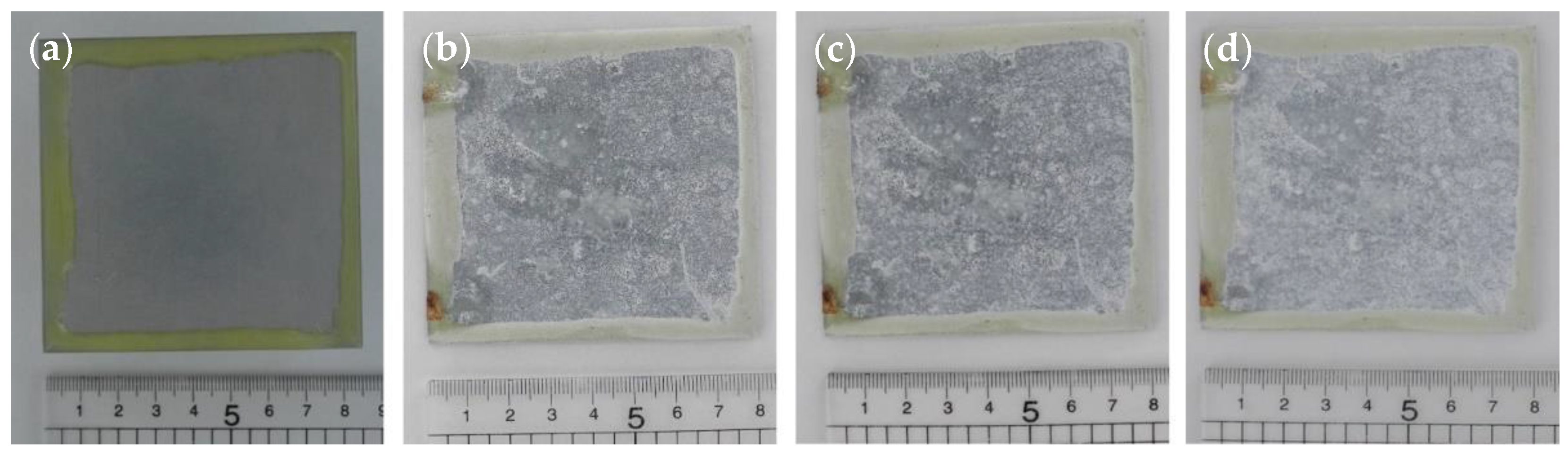 Coatings 12 00895 g011