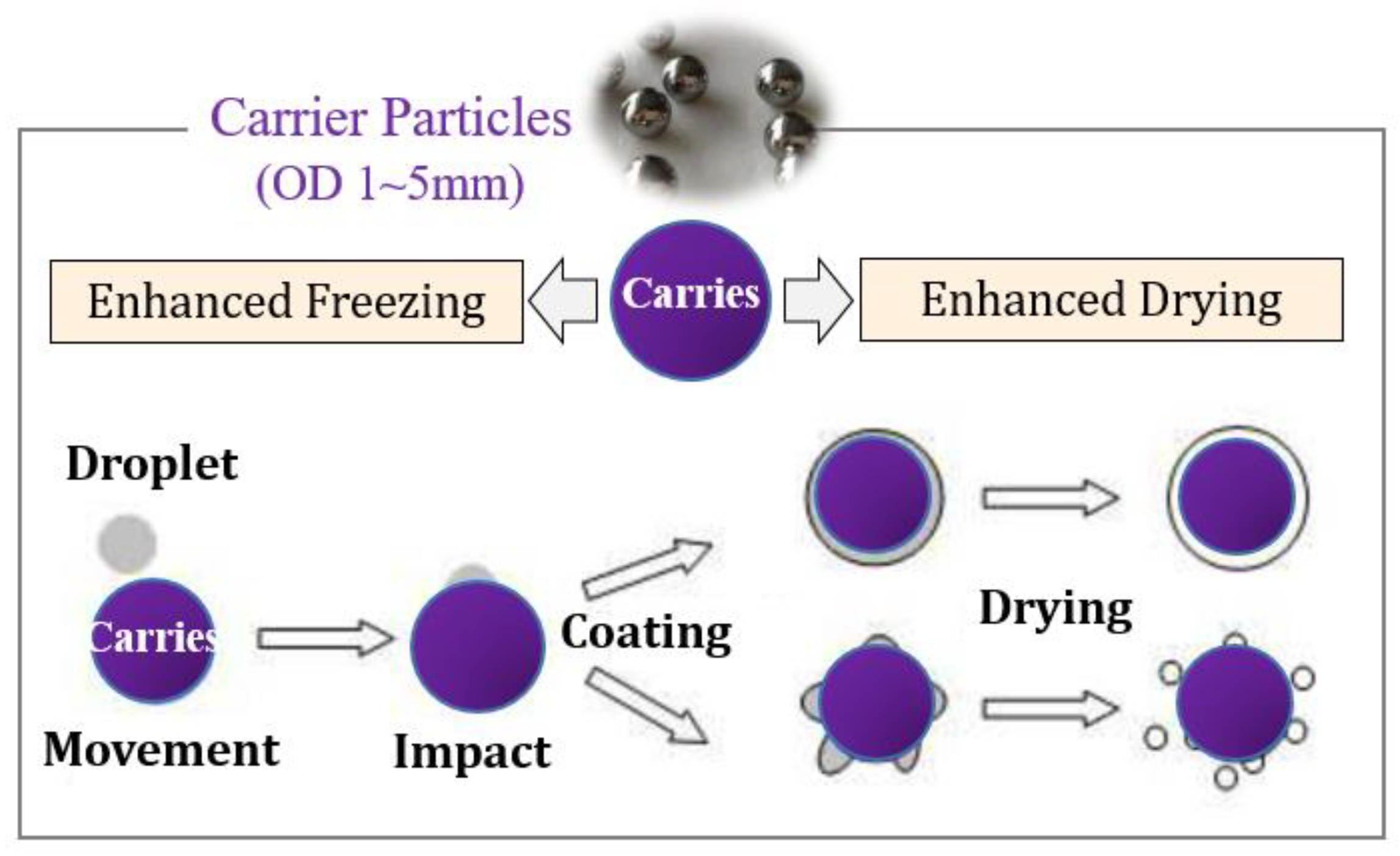 Coatings 12 00896 g001